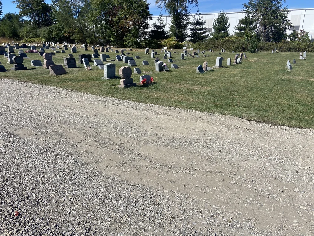 IMG_2180 - Clarence Grasty.jpeg