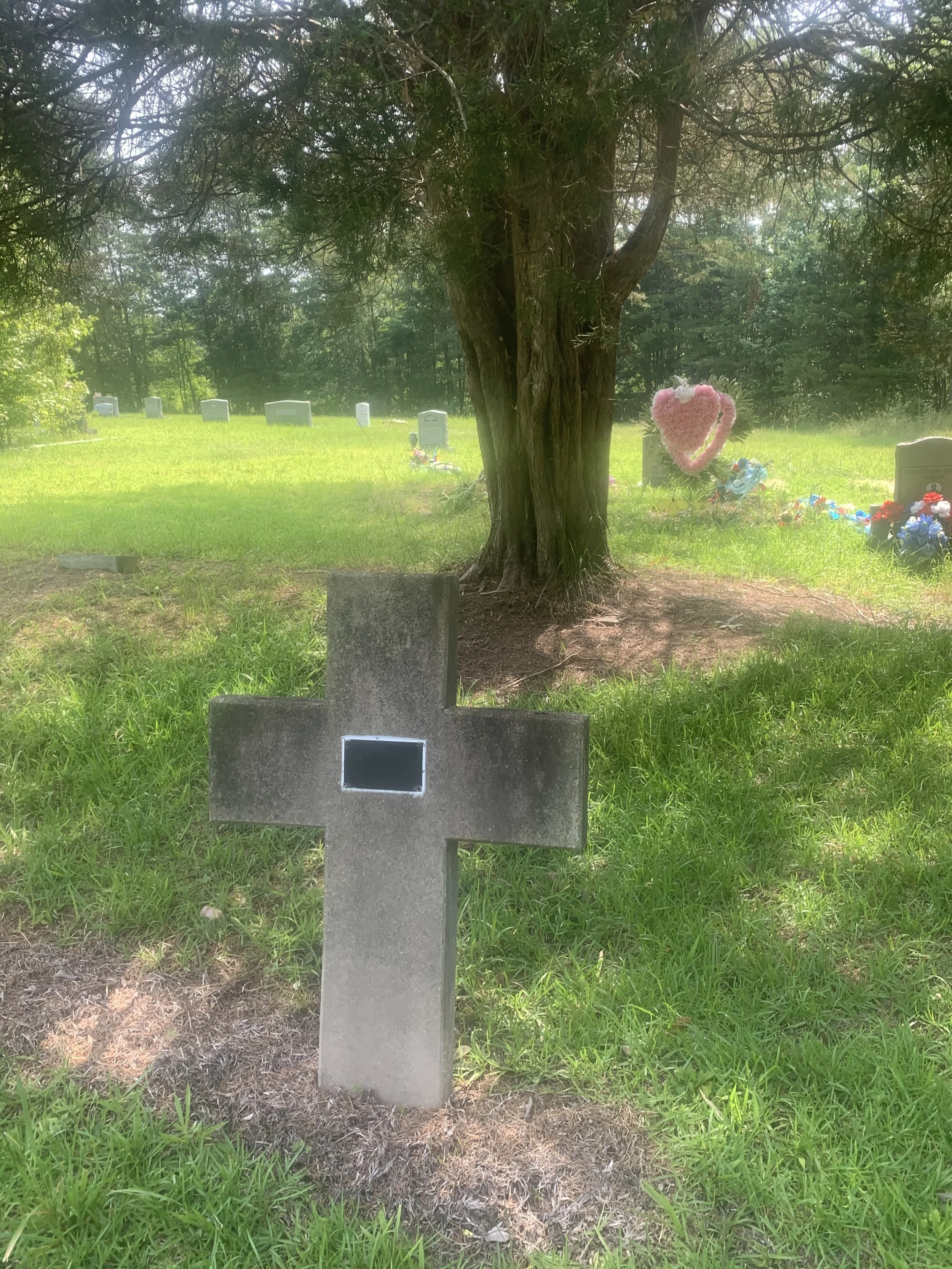 Snow Hill Primitive Baptist Cemetery 2.jpeg