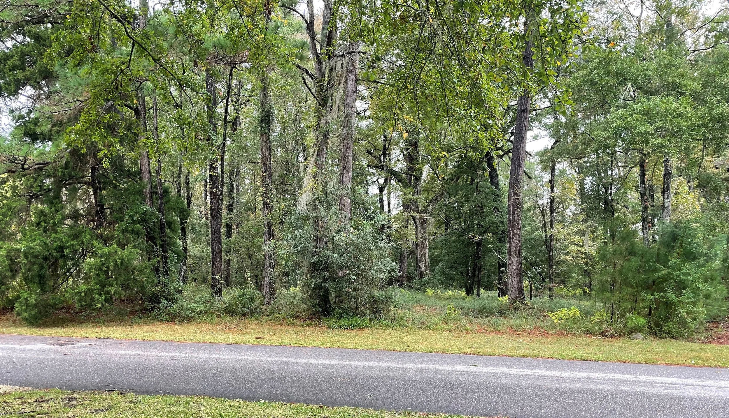 Historic Litchfield Plantation Cemetery