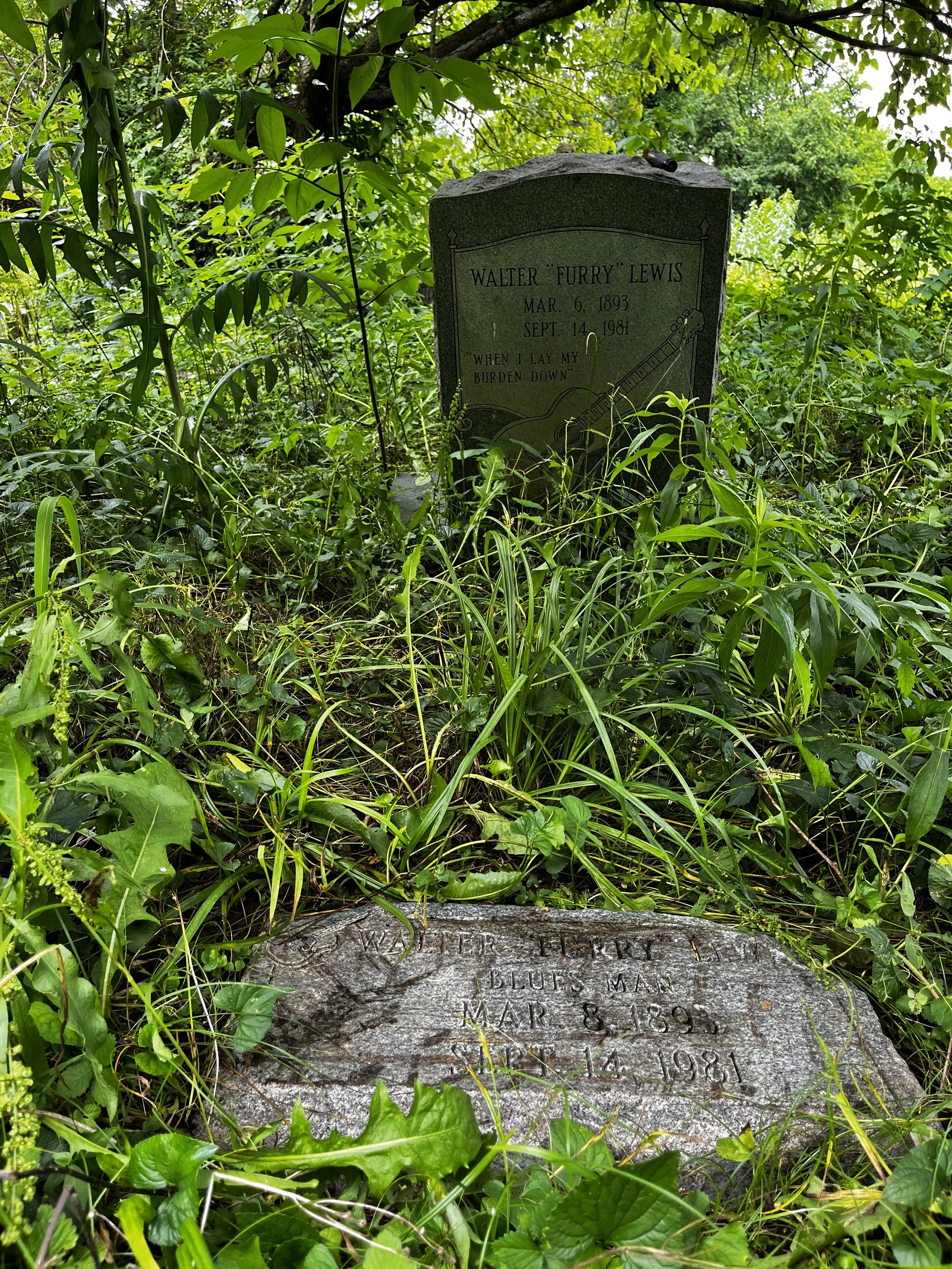 IMG_0573 - Diane Green.jpeg