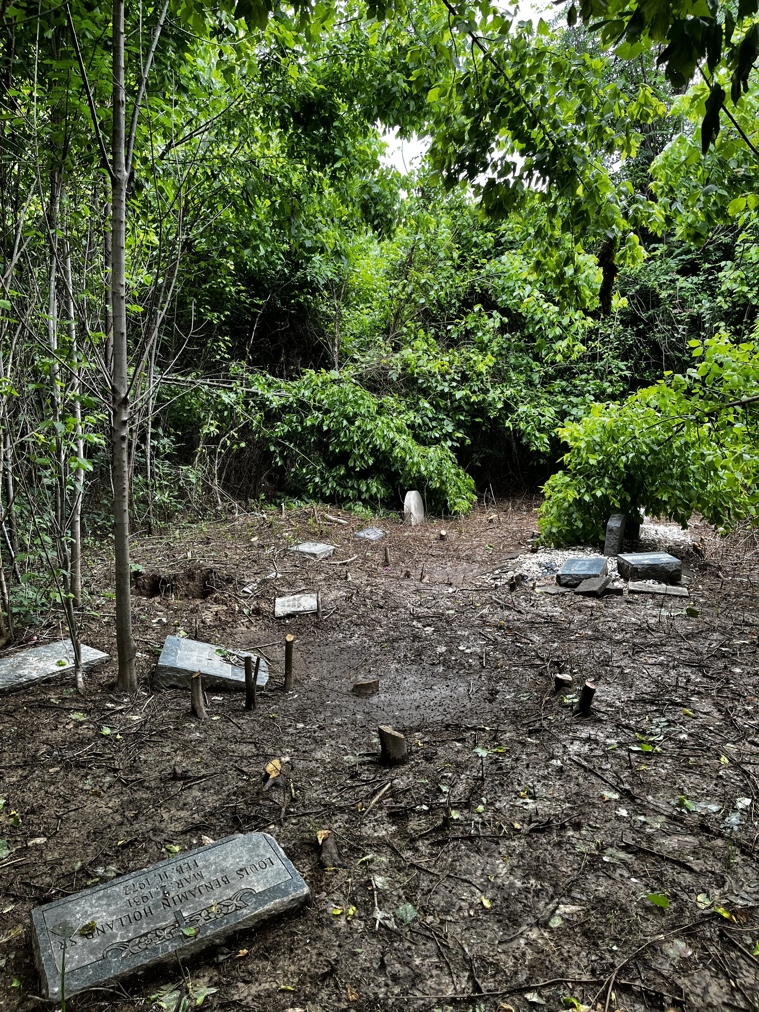 IMG_0547 - Diane Green.jpeg