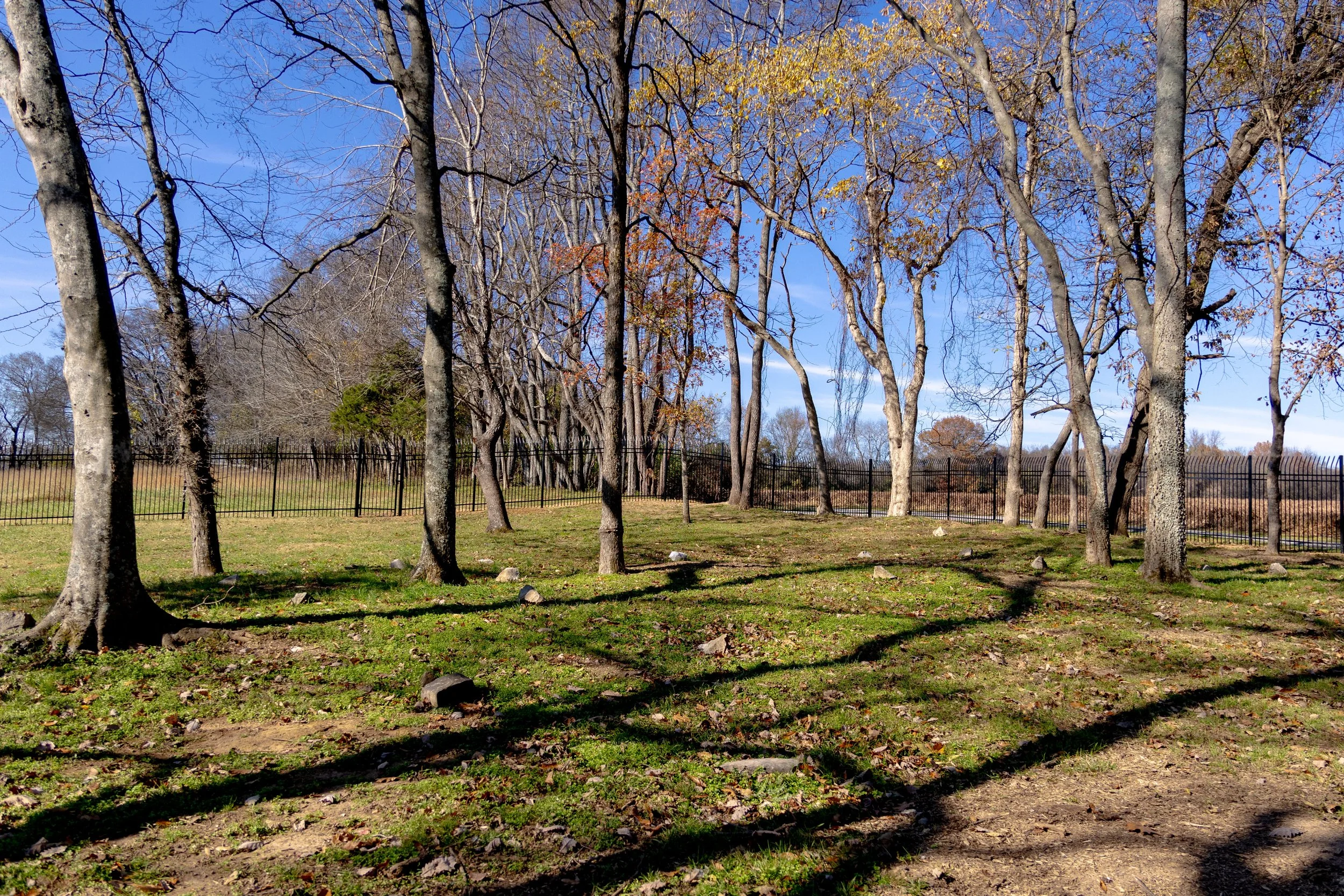 HERMITAGE2 - Cody Youngblood.jpg