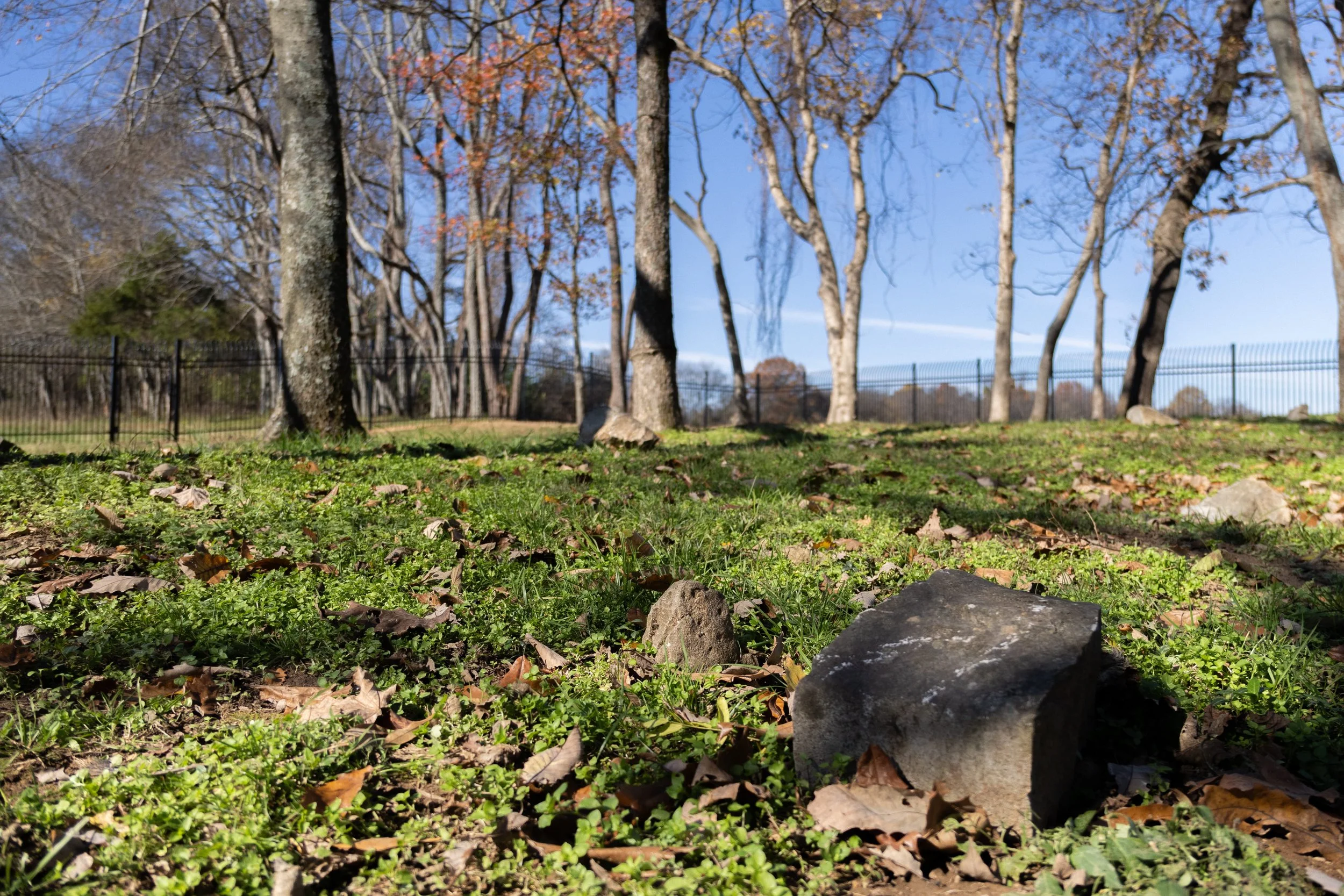 HERMITAGE3 - Cody Youngblood.jpg