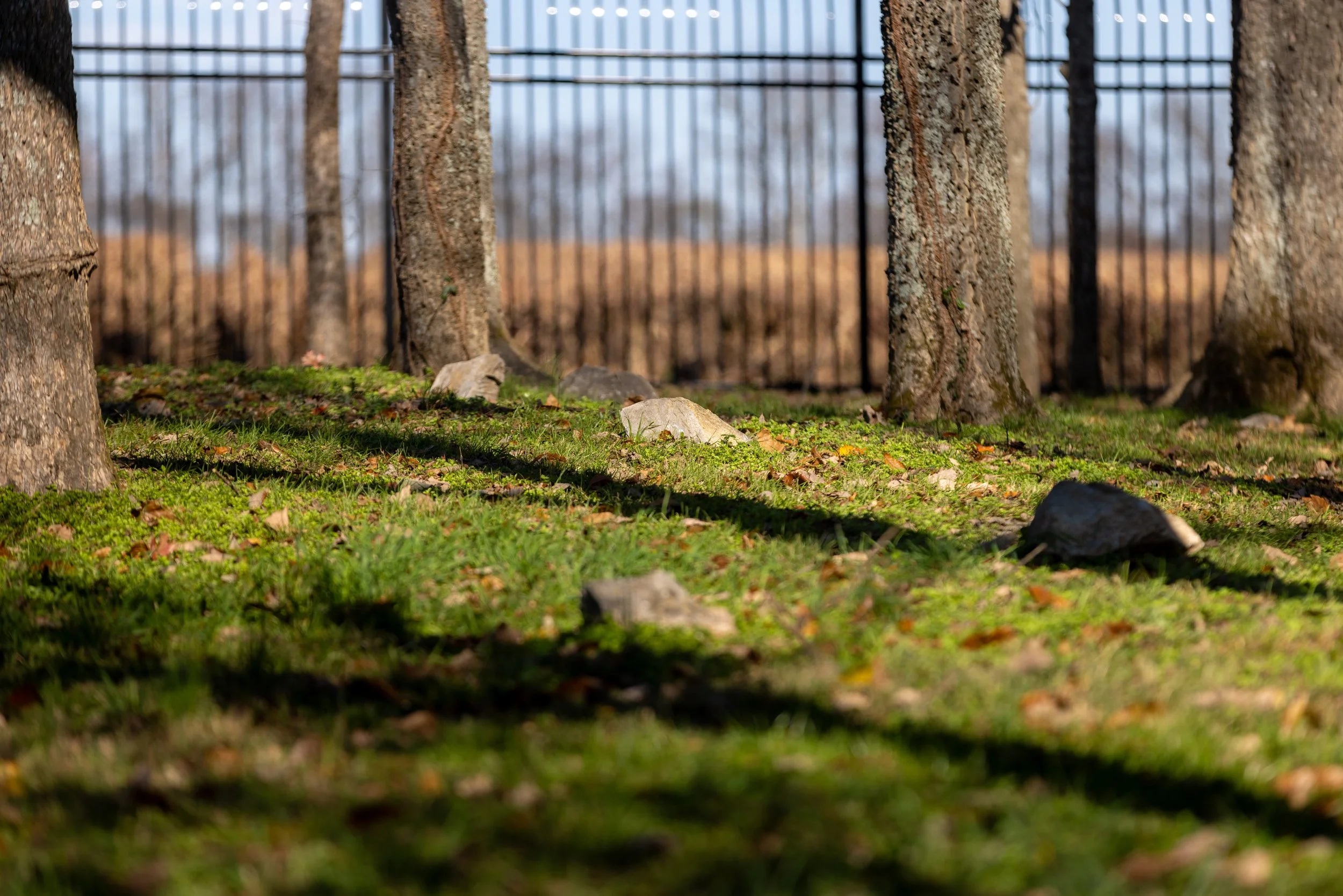 HERMITAGE4 - Cody Youngblood.jpg