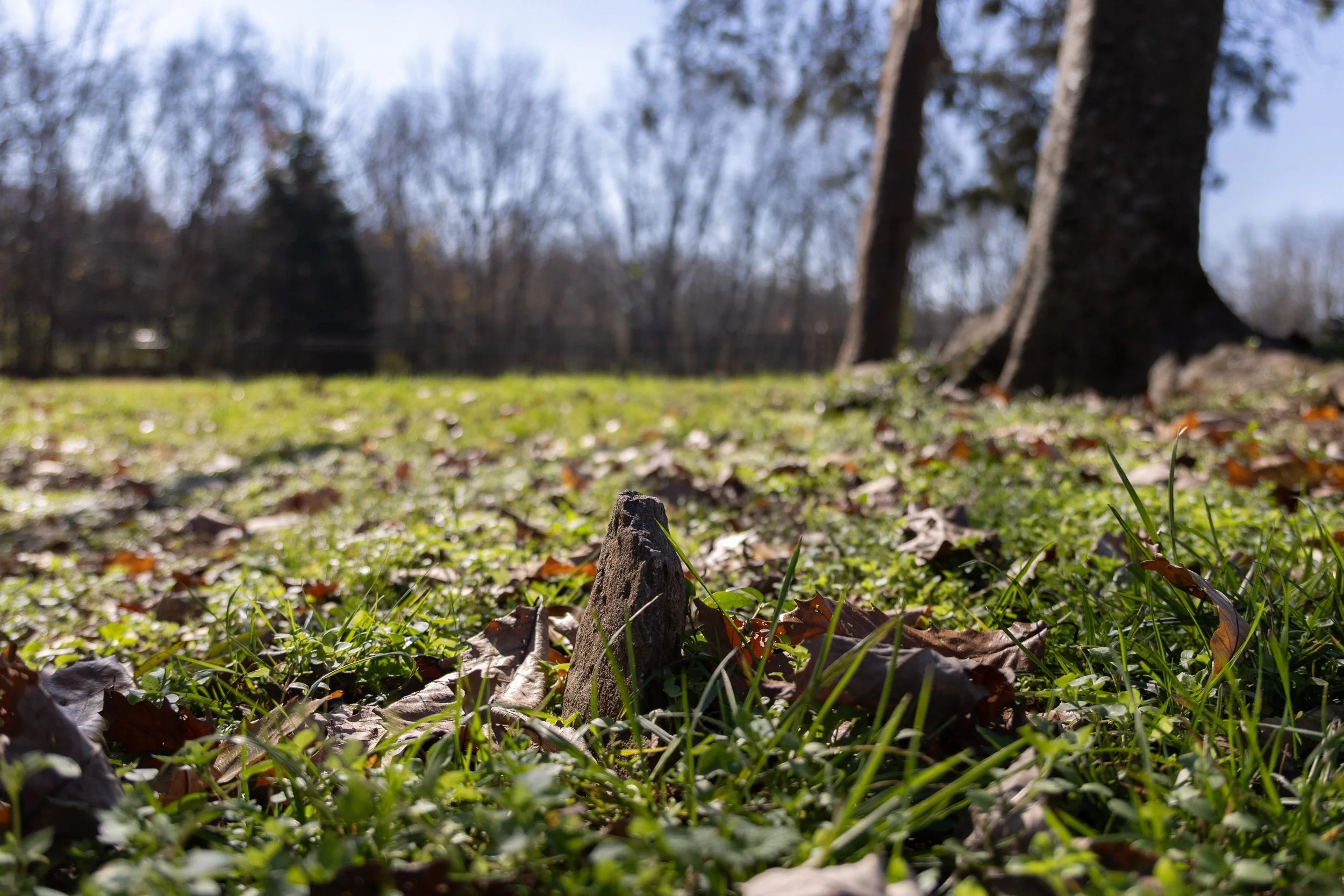 HERMITAGE5 - Cody Youngblood.jpg