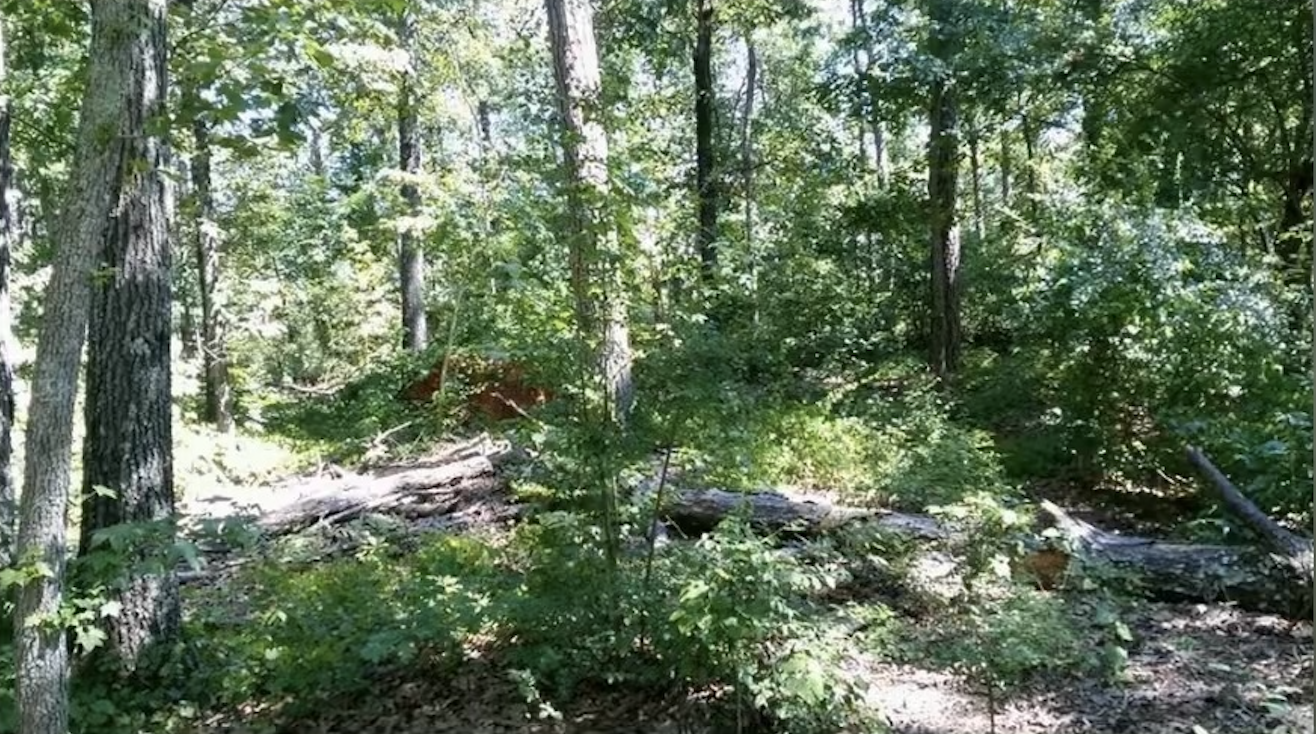 Weems Slave Cemetery