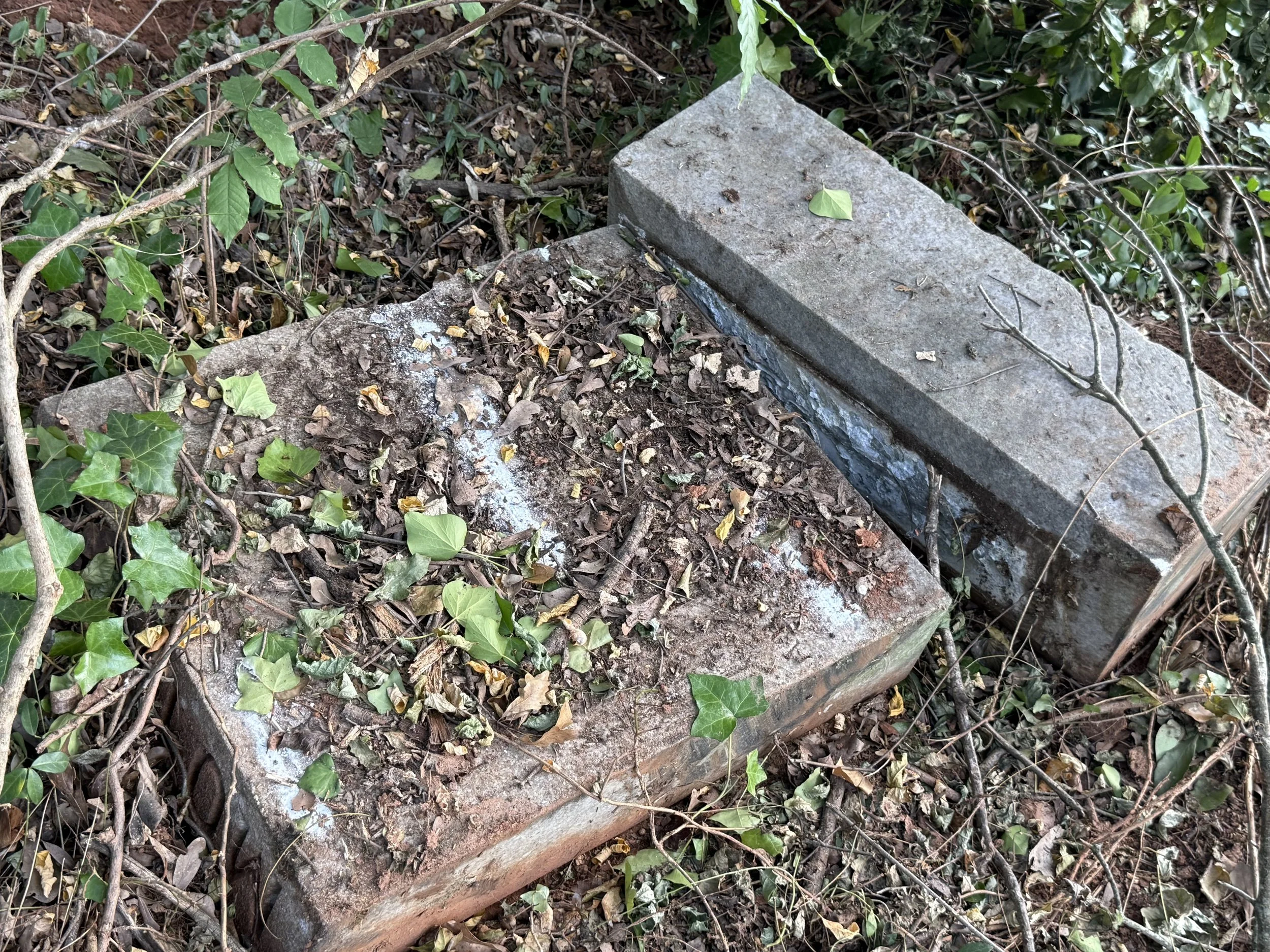 IMG_1668.jpeg