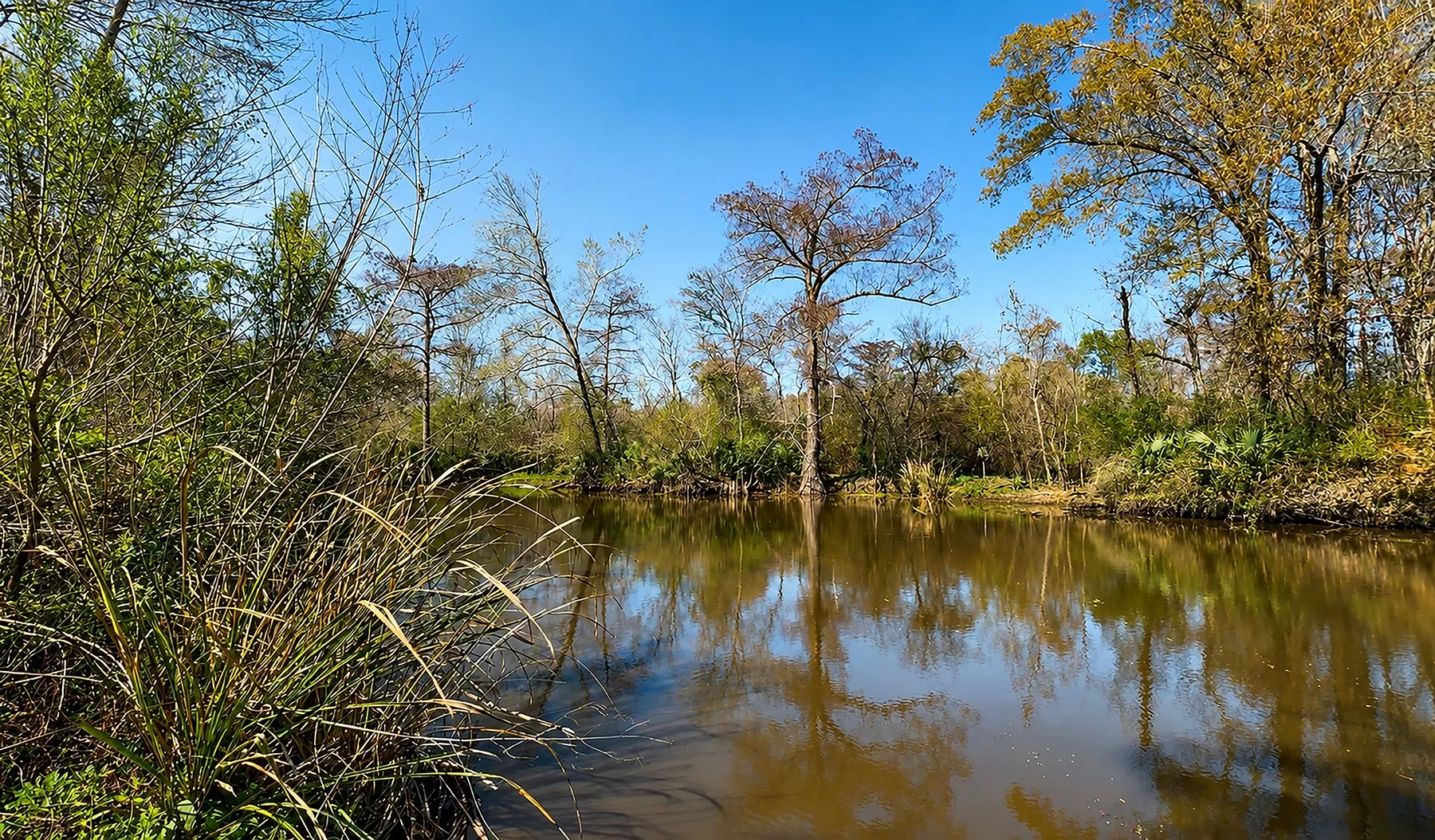 English Bayou 2026 Chloe Cemetery - Chloe Historical Cemetery.jpg