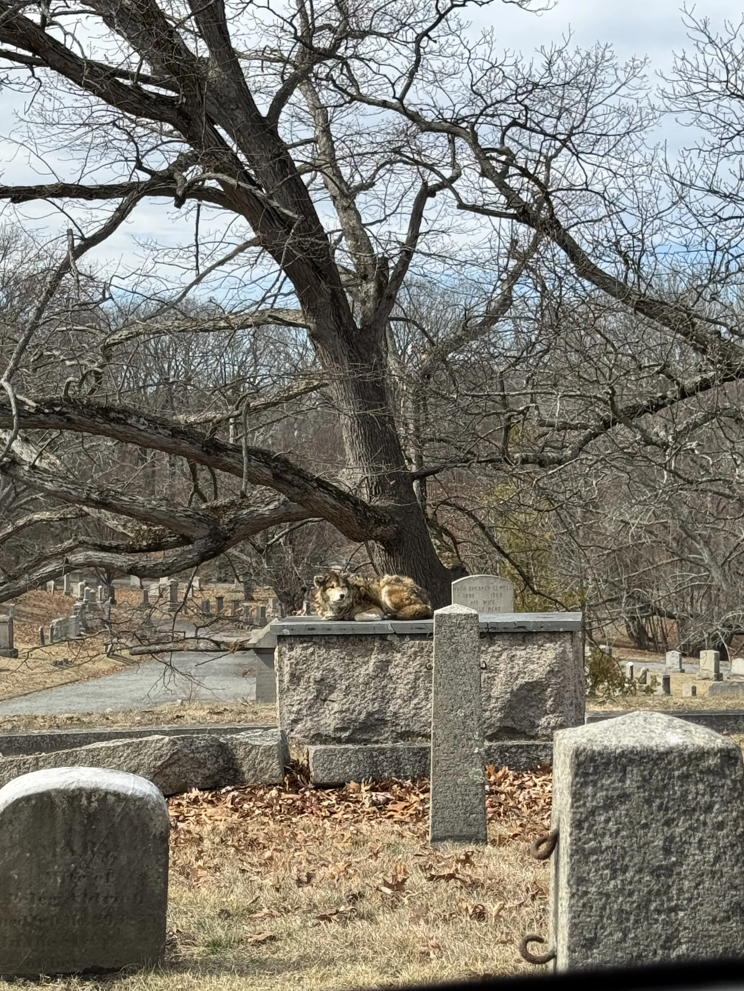 NorthBurialGround4 - Jordi Rivera Prince.jpg