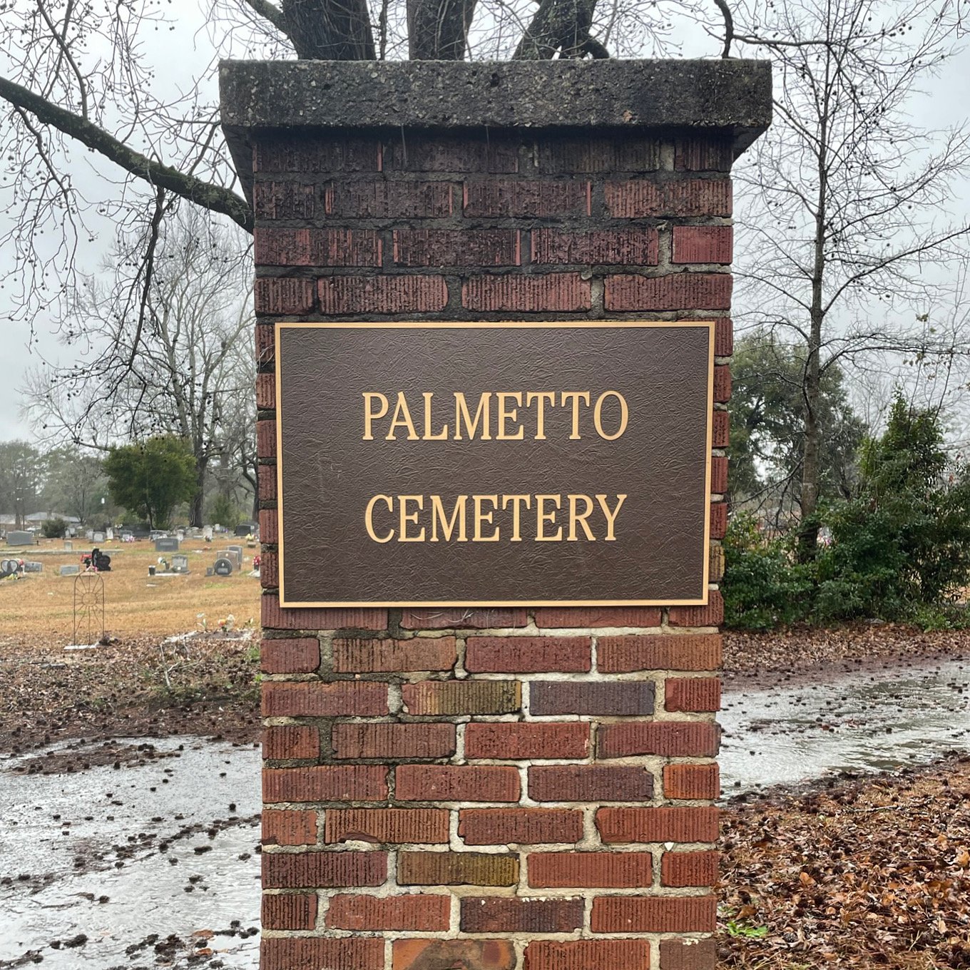 PalmettoCemetery4 - Cory France.JPG