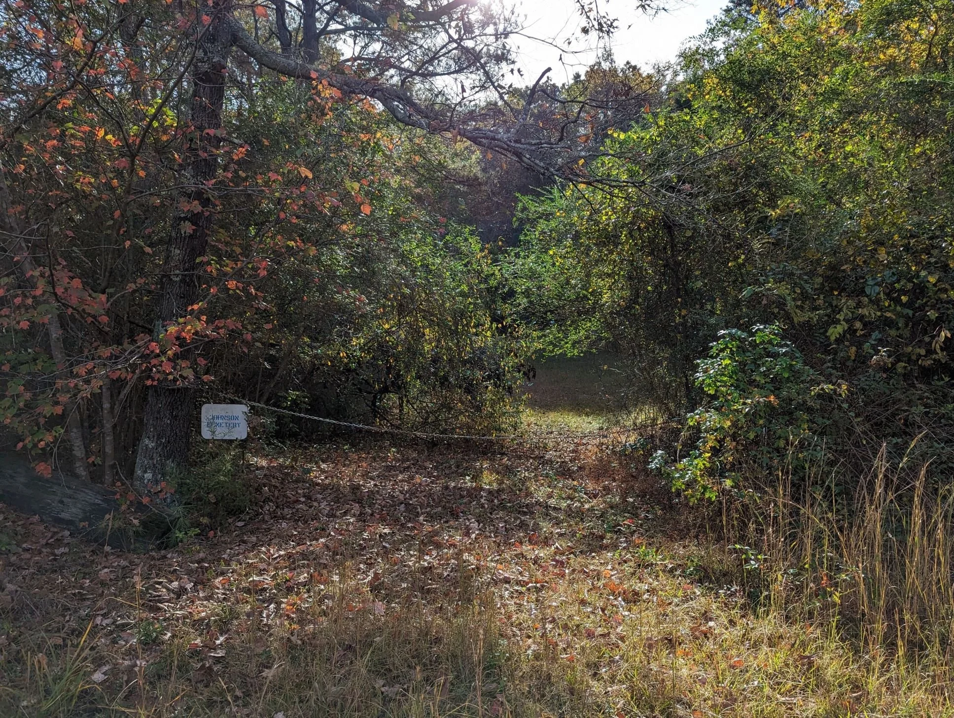 Johnson Cemetery