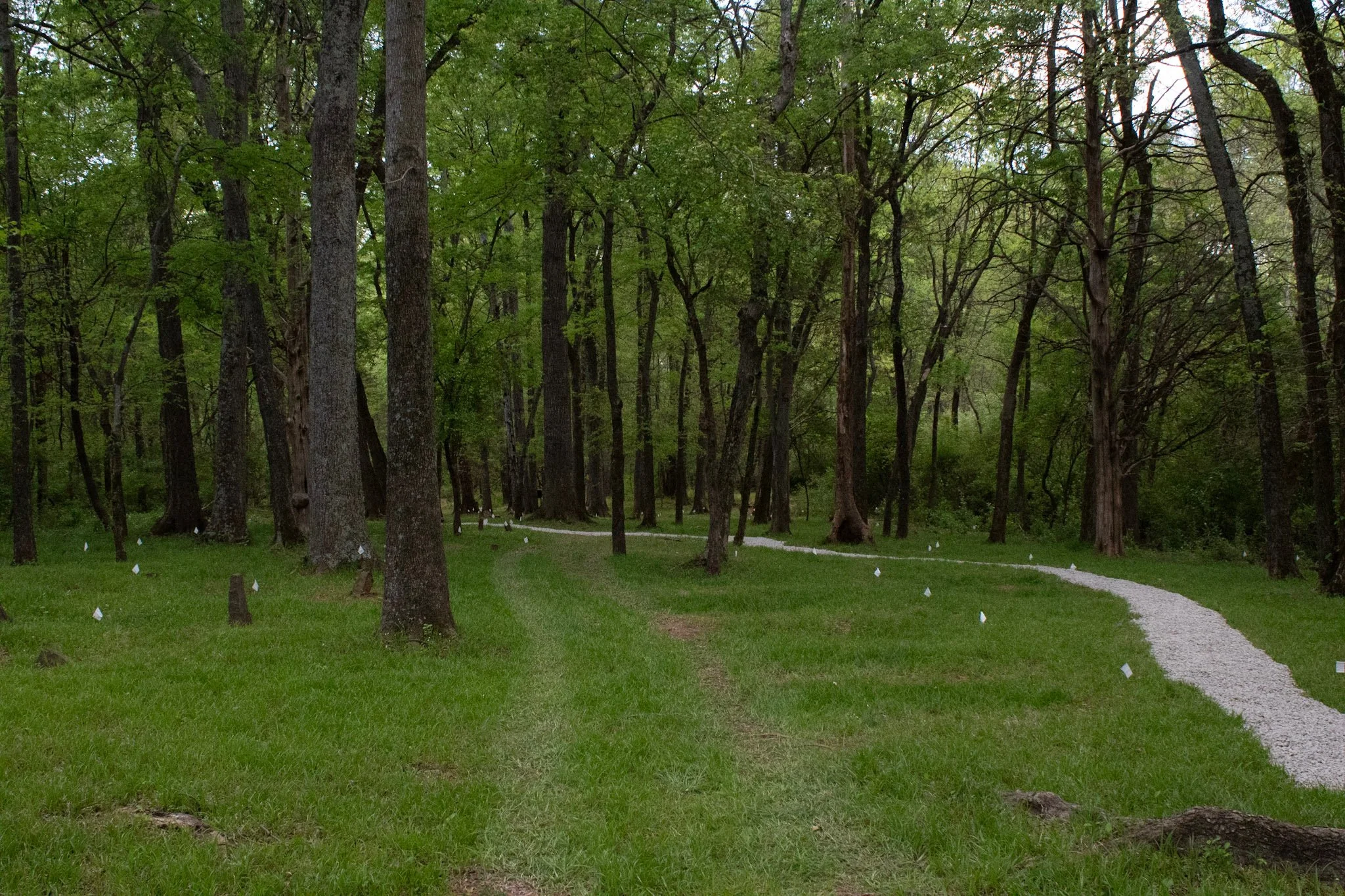Bull Run African American Cemetery3 - Camdyn.jpg