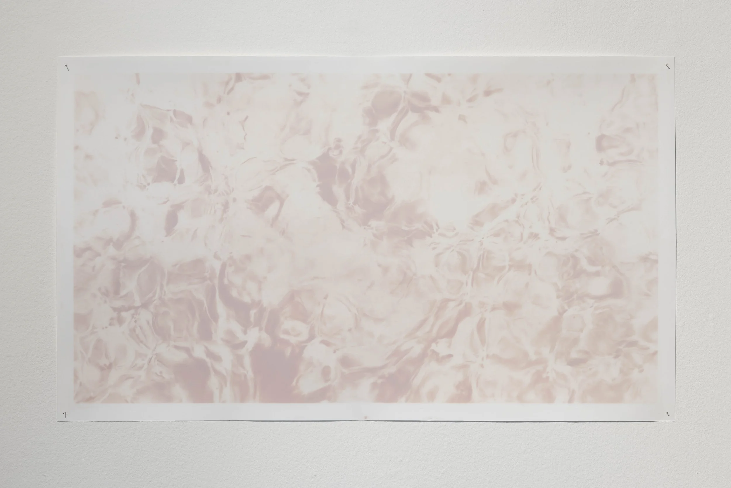 Untitled (Video Still I), 2026, Fomaspeed Variant III black and white photographic paper, steel pins. 