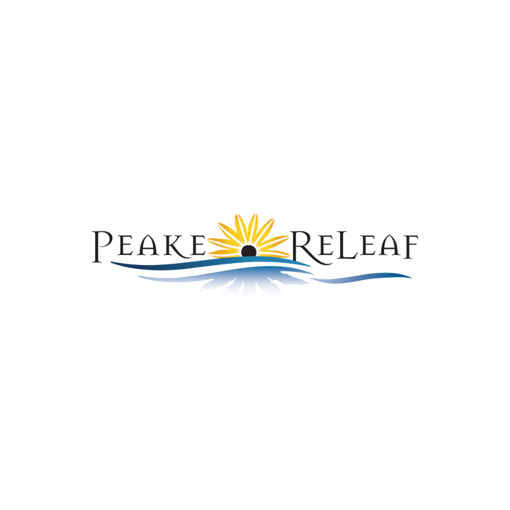 Untitled design (32).png