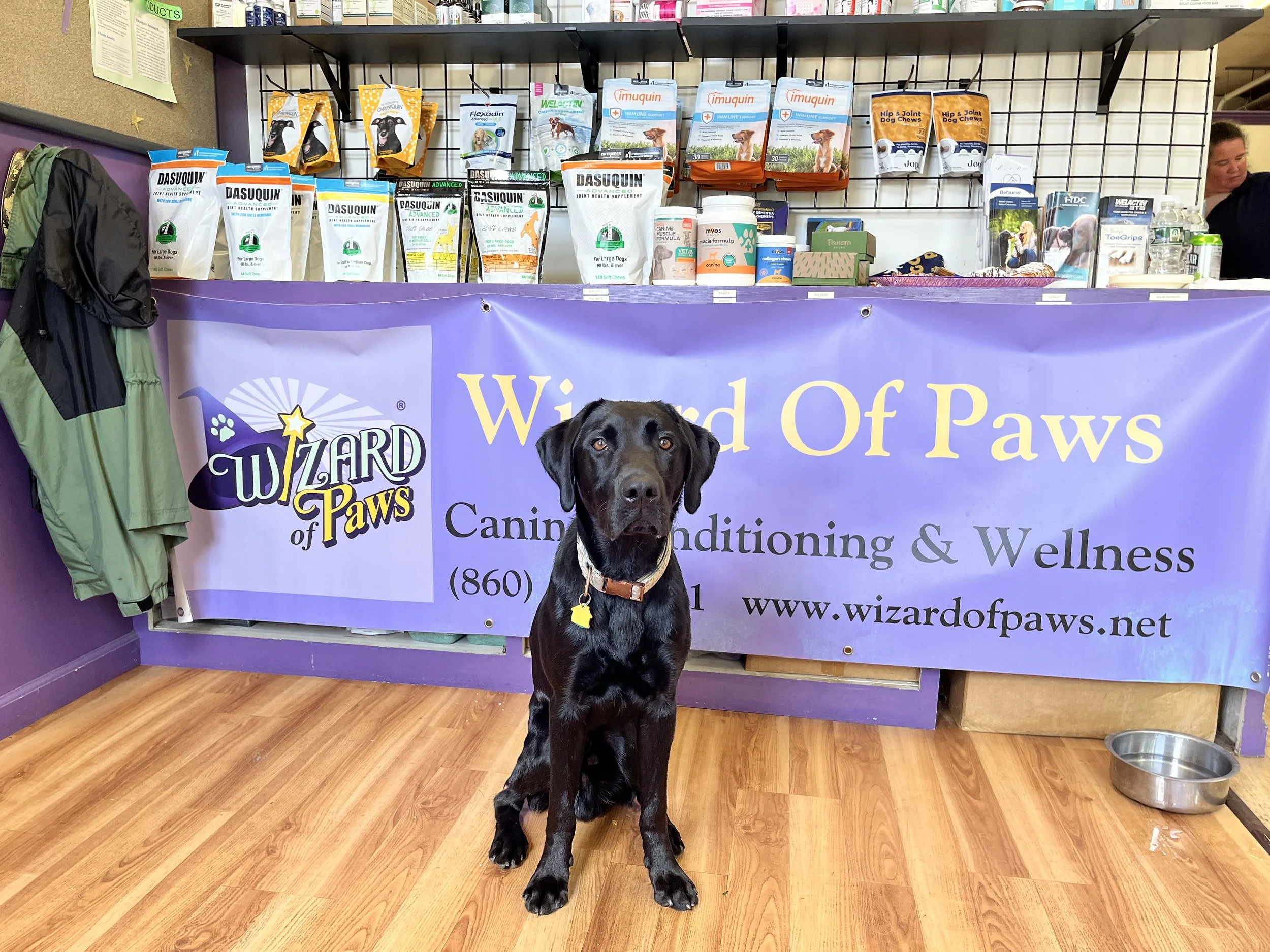Wizard of Paws | October 24 2025