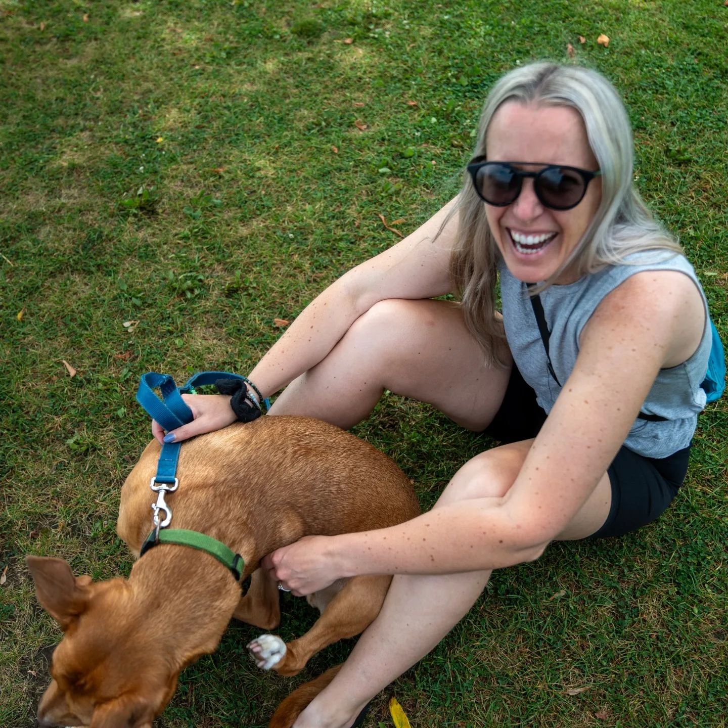 So long sweet summer: air shows, good eats, cat catering, and time spent with fam &amp; friends.

1-3: hanging in the park at the end of our street for epic airshow views

4: Keto breakfast for days from @officialfarmboy

5-6: cat catering visits wit