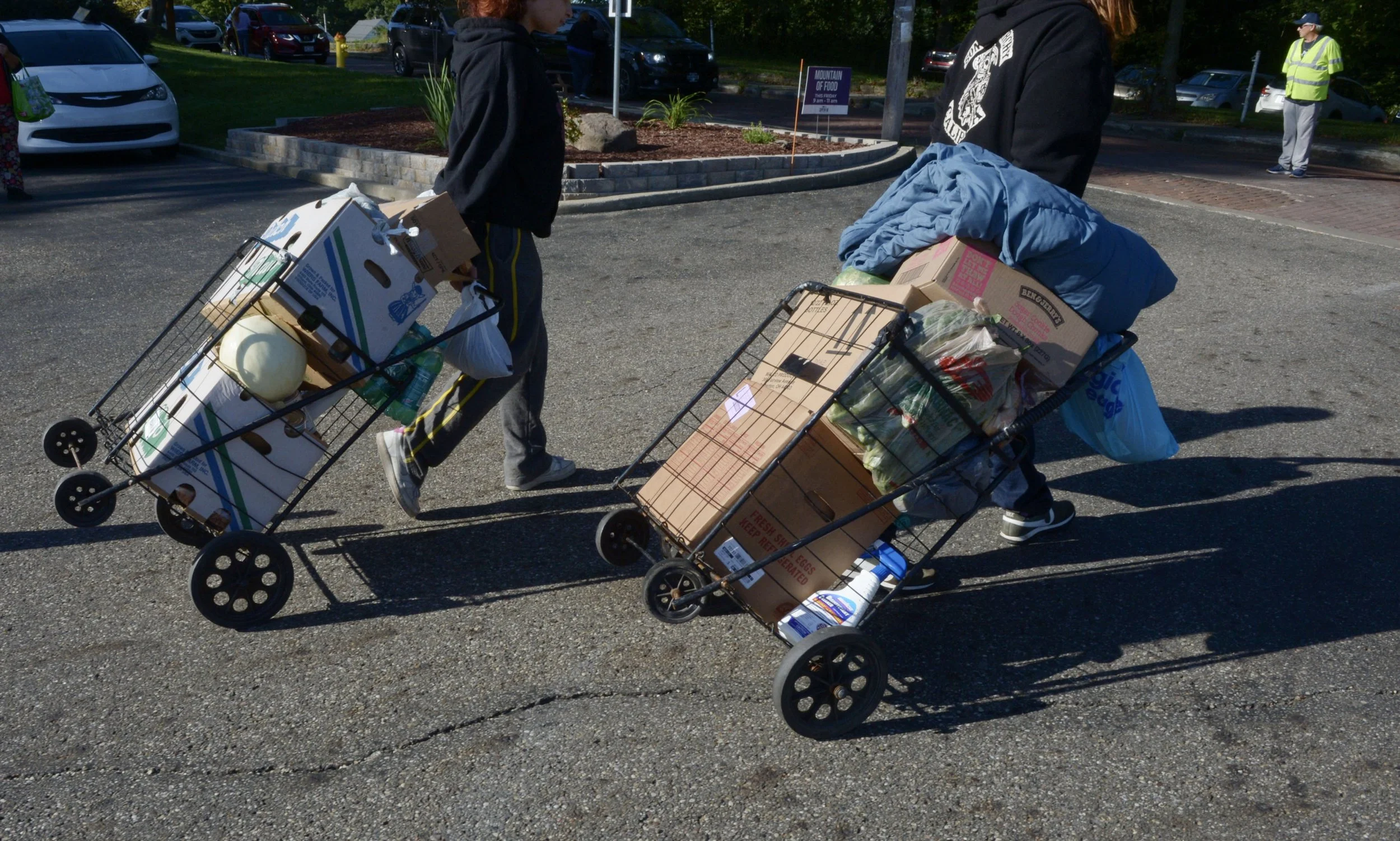 Mountain of Food (MOF)