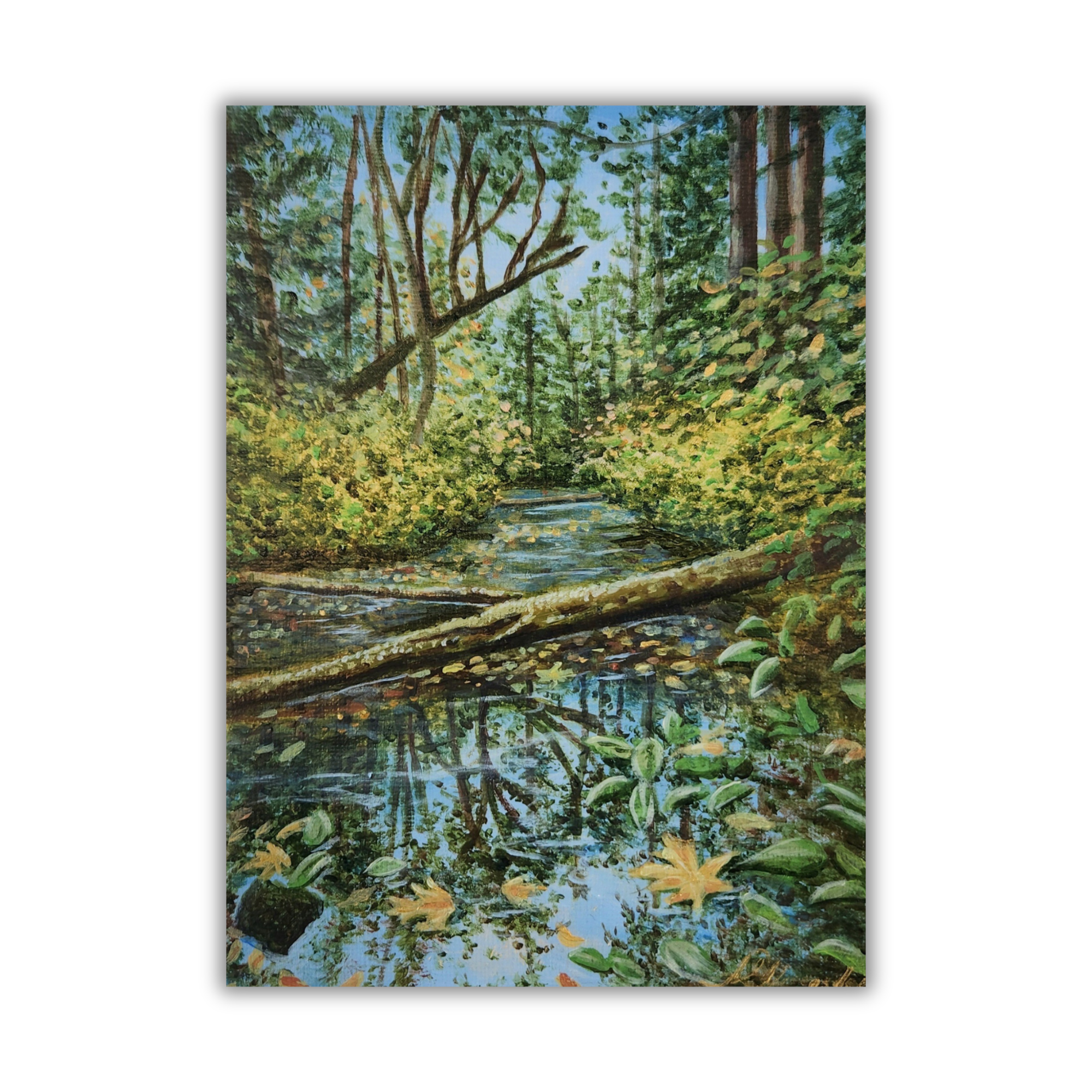 Fallen Leaves postcard by Sandra Glyngsdal