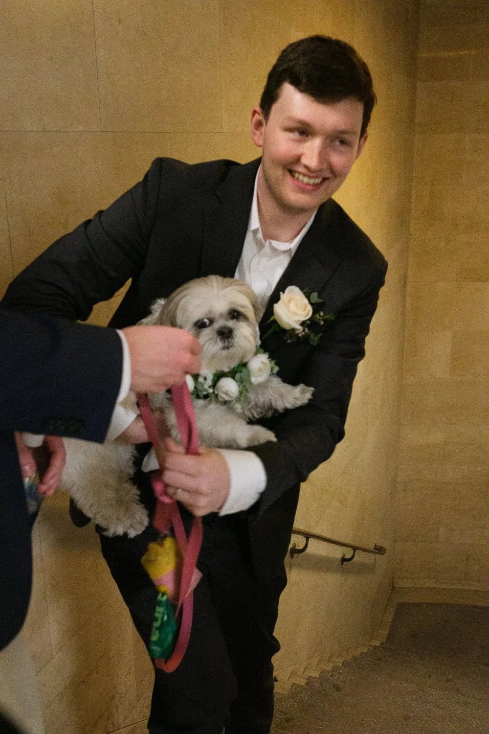 Isabel & Patrick’s City Hall Wedding