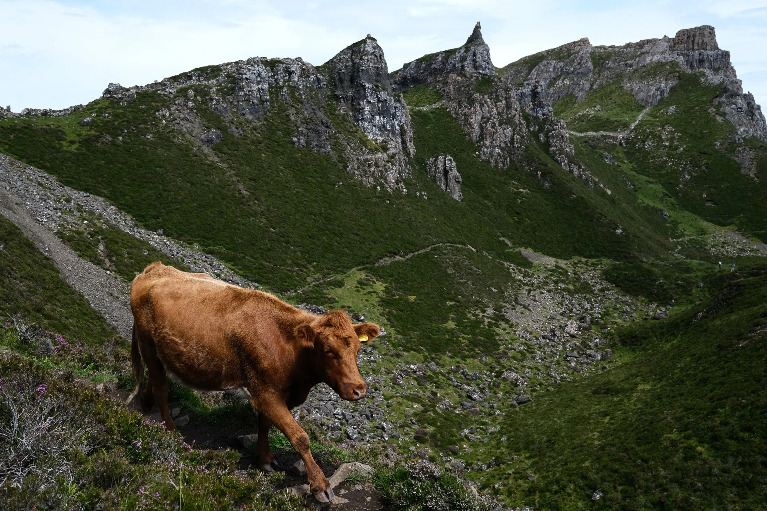 Landscape-Scotland image