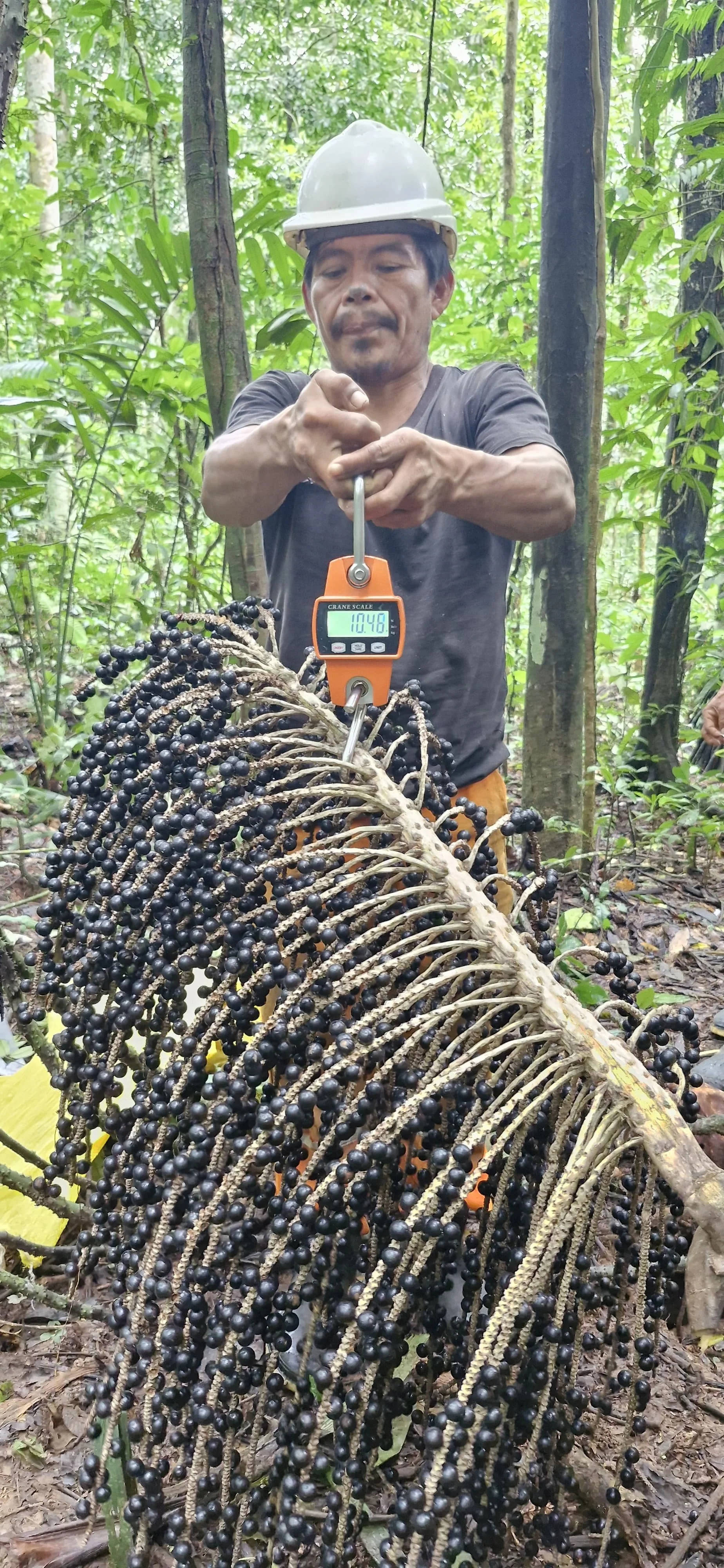 WhatsApp Image 2025-02-20 at 01.08.29 (1).jpeg