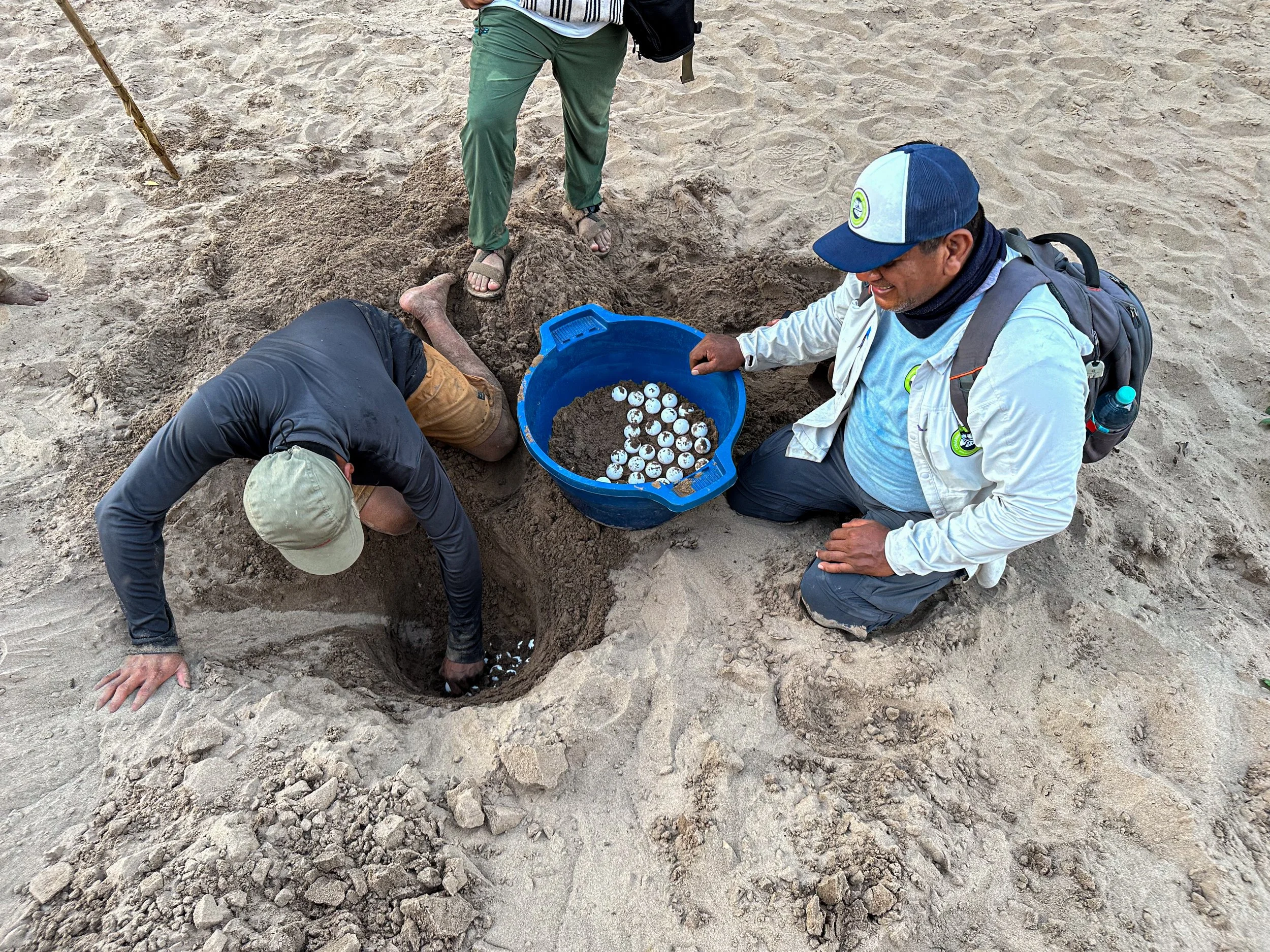 Comunidades liberan más de 2,000 taricayas y charapas en el Yurúa para proteger el equilibrio del río y del bosque