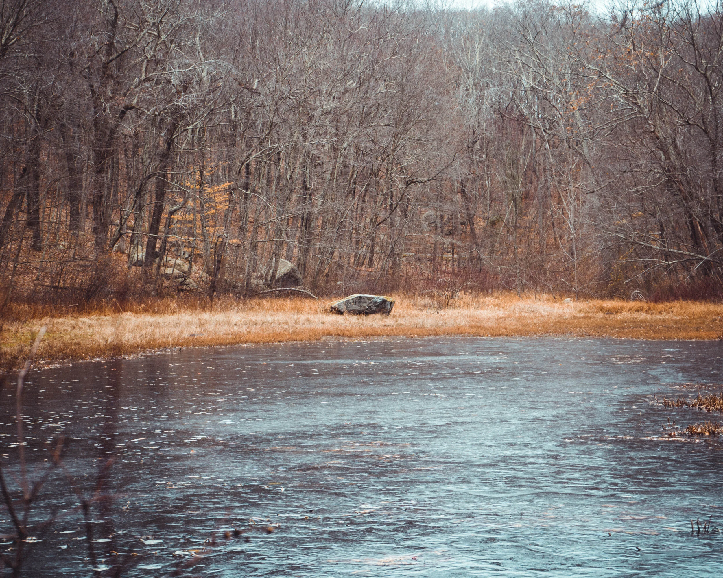20191117-DSC05593.jpg