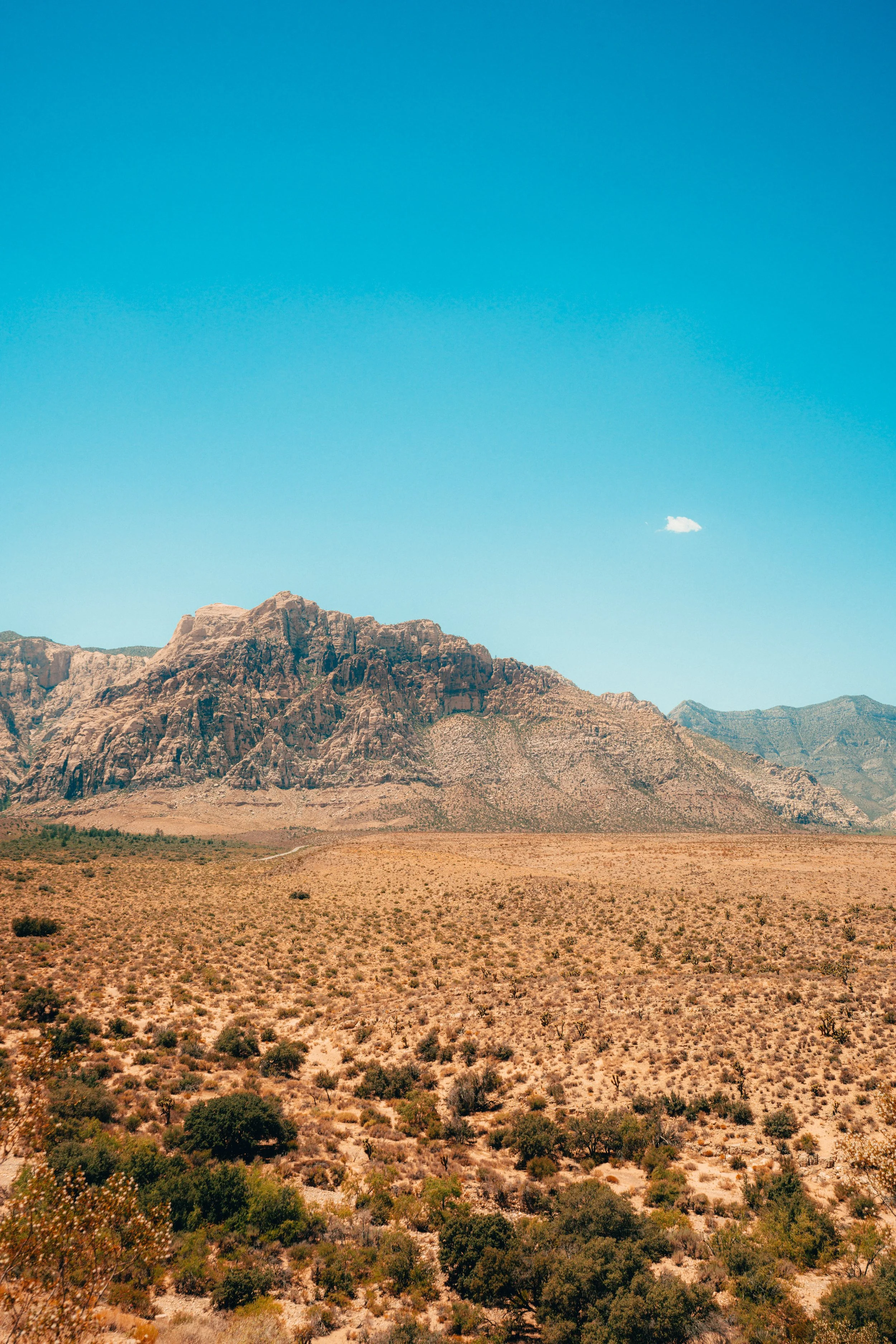 Red Rocks p1 (4 of 6).jpg