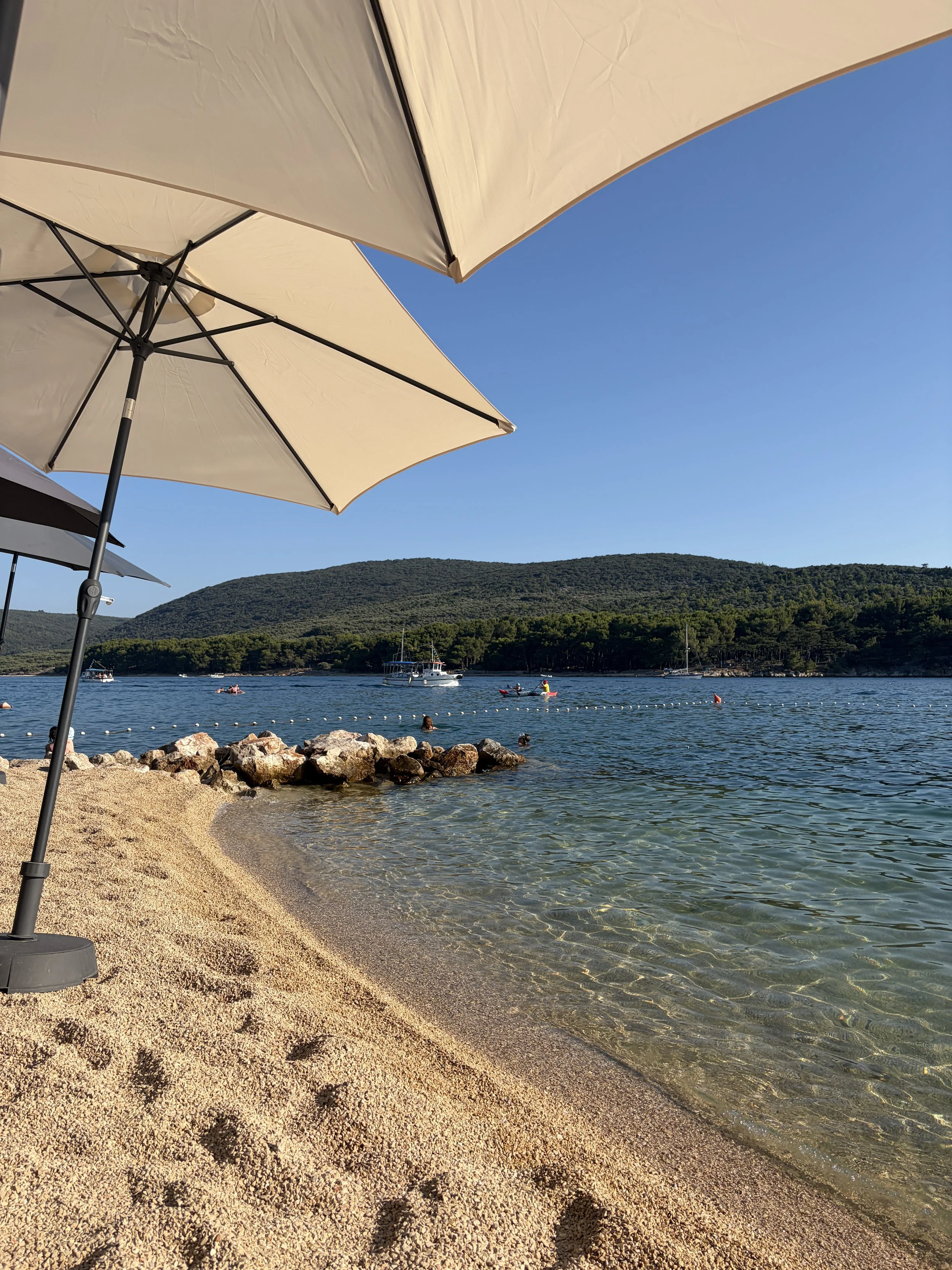 Thoughts after an AI-free summer