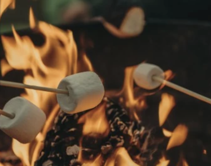 Screen Shot 2024-02-27 at 12.13.07 PM.png