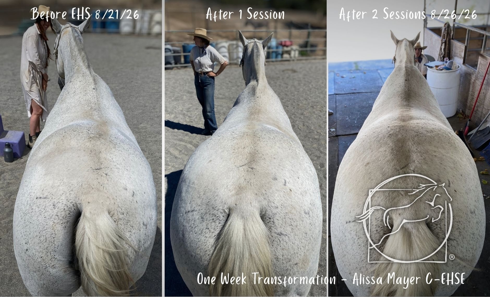 Equine Hanna Somatic Education