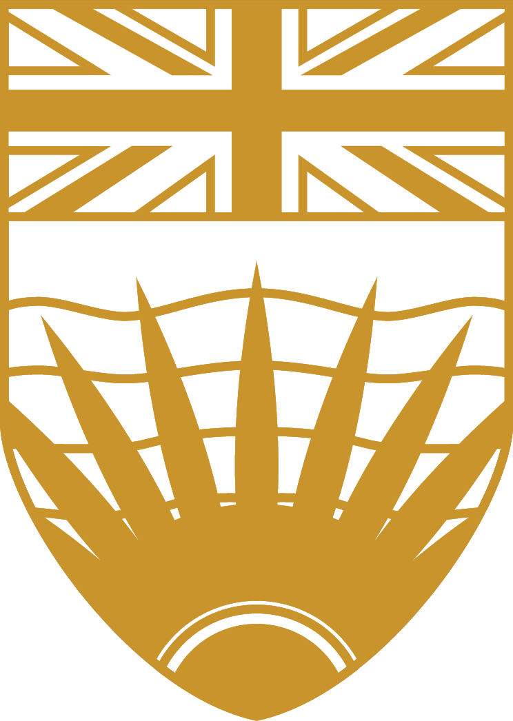 CityInFocus_Gold_4C (3).png