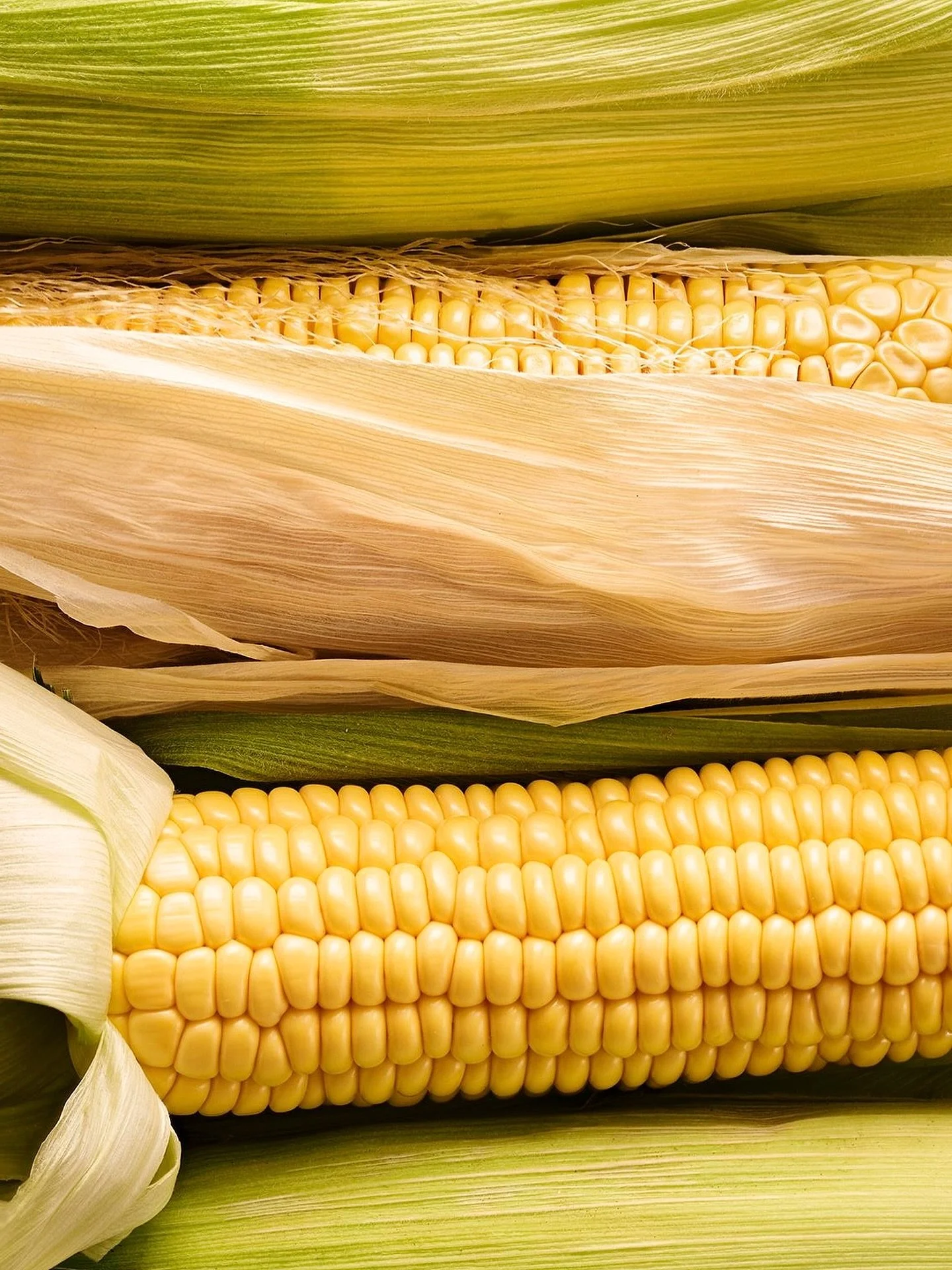 TEXTURE GALOREEEEEE 🌽 ur wrong if you don&rsquo;t agree that corn is up there with the prettiest of food 💛 maybe I could have posted the corn kids song with this but I too want you to sleep tni without that buzzing through your ears xxx

From a rec