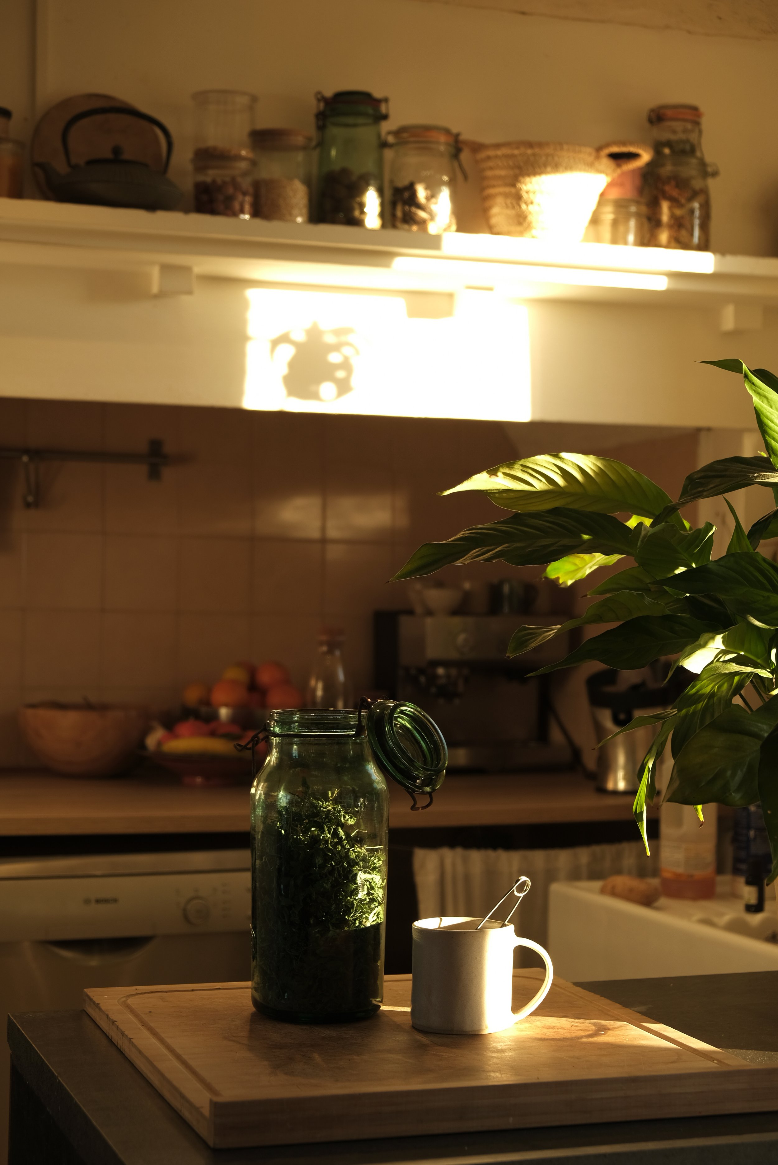 DSCF6341.jpg