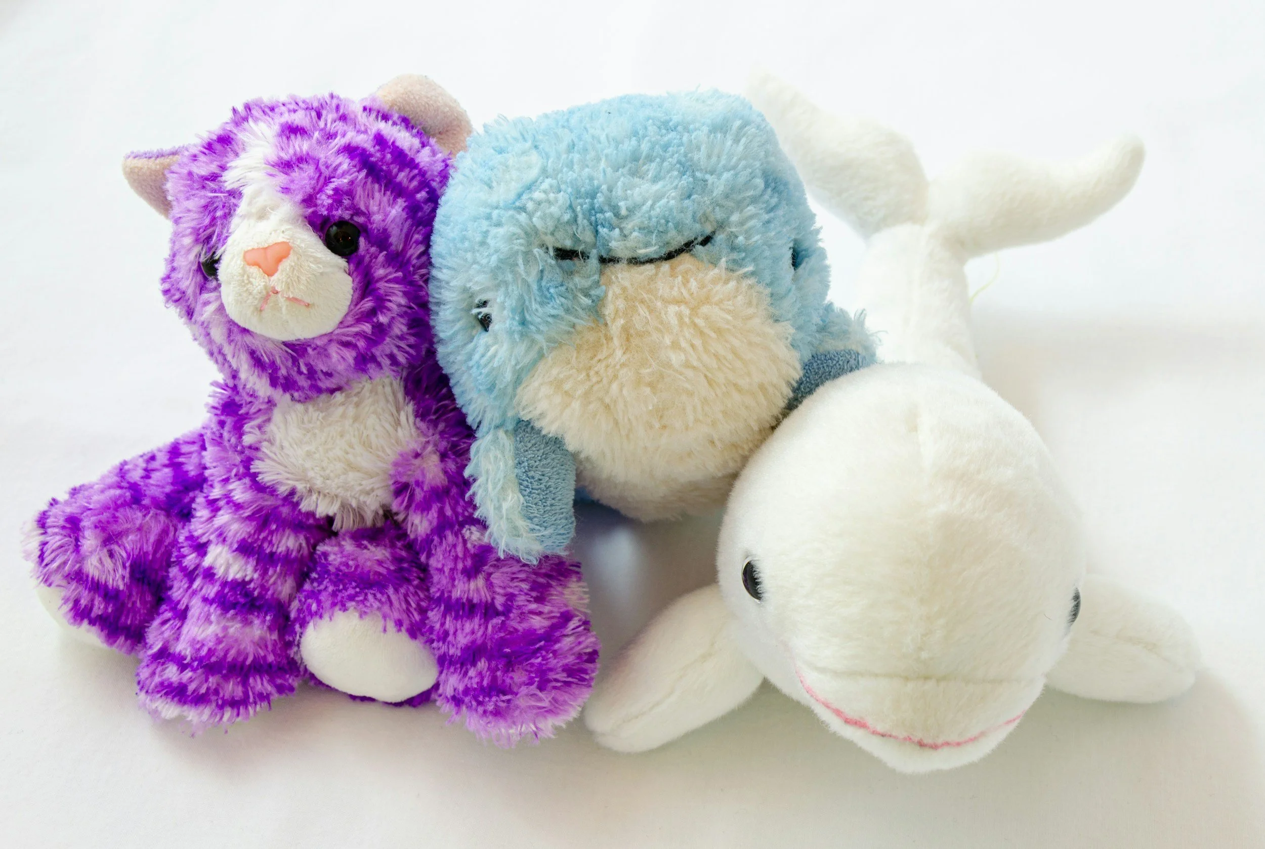 Bring a Stuffy To School Day!