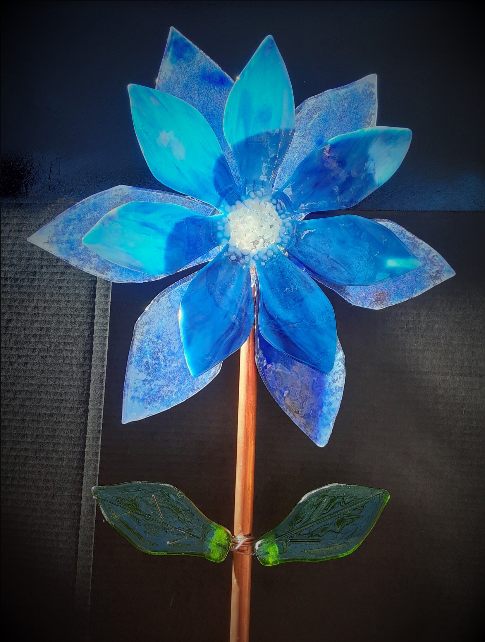 Blue Flower Closeup.jpeg