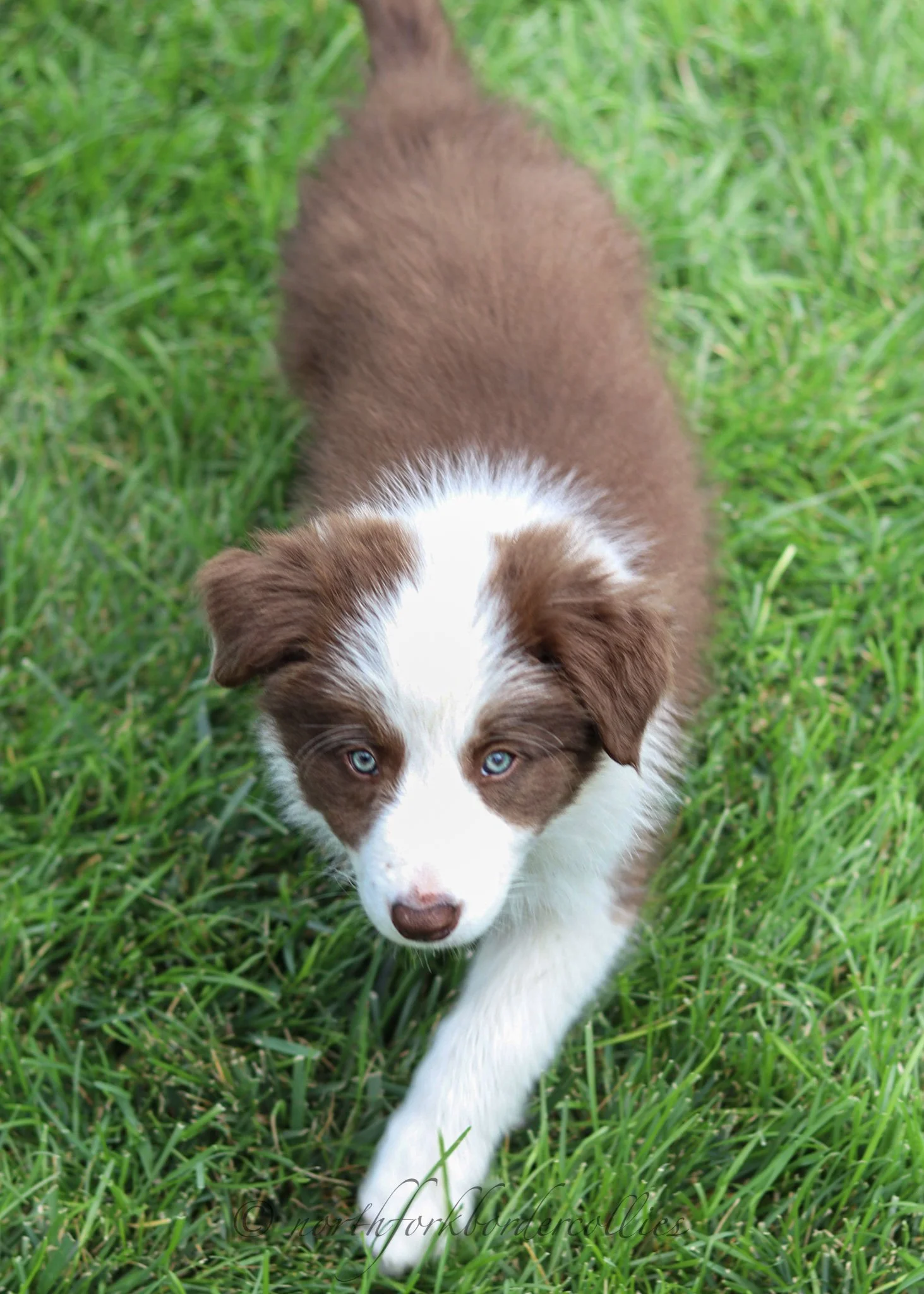 8 weeks old