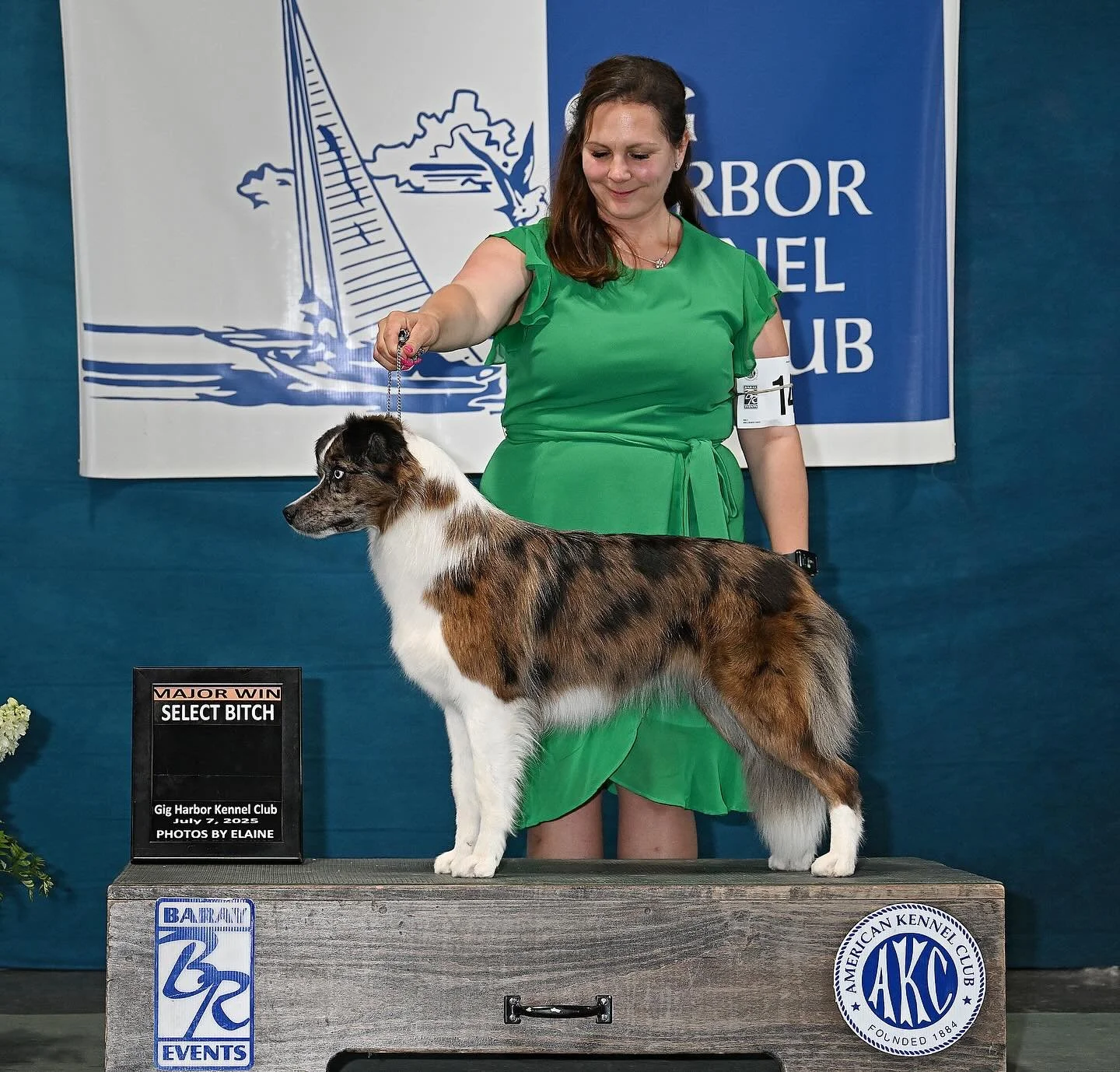 Quest’s win photo from the show in Puyallup over Fourth of July weekend.
She went Select for a 4 point major over a special under judge Karen J. Hynek. I’m super proud of this girl. And I cannot wait to see where her journey takes us.