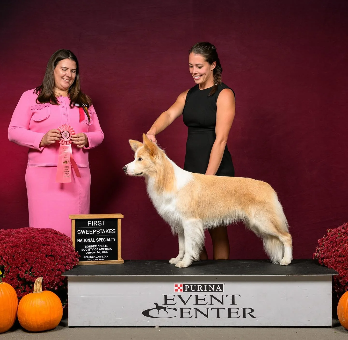 Just me and my favorite golden boy. 🐾 

Had to take a win photo because&hellip; Border Collie Nationals. Duh! 🤭 Ultimately, it&rsquo;s important to celebrate. Enjoy the wins. No matter how big or small. Find the joy in all the things you do. Or els