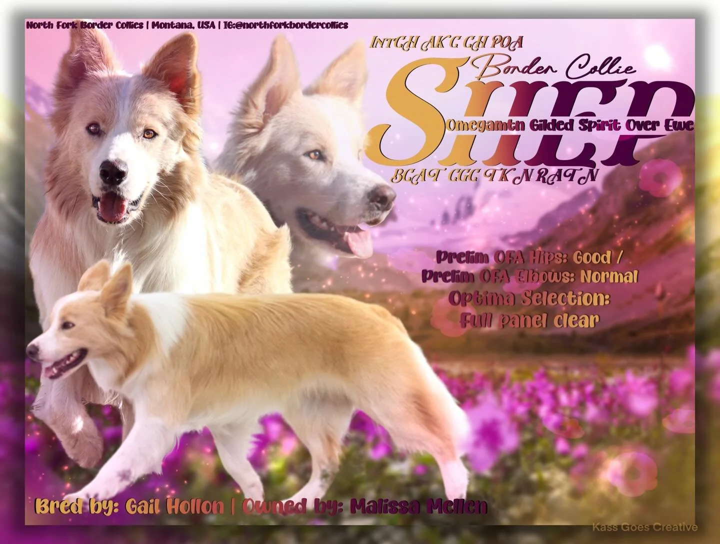 I&rsquo;ll just leave this pretty little ad here. 🩷