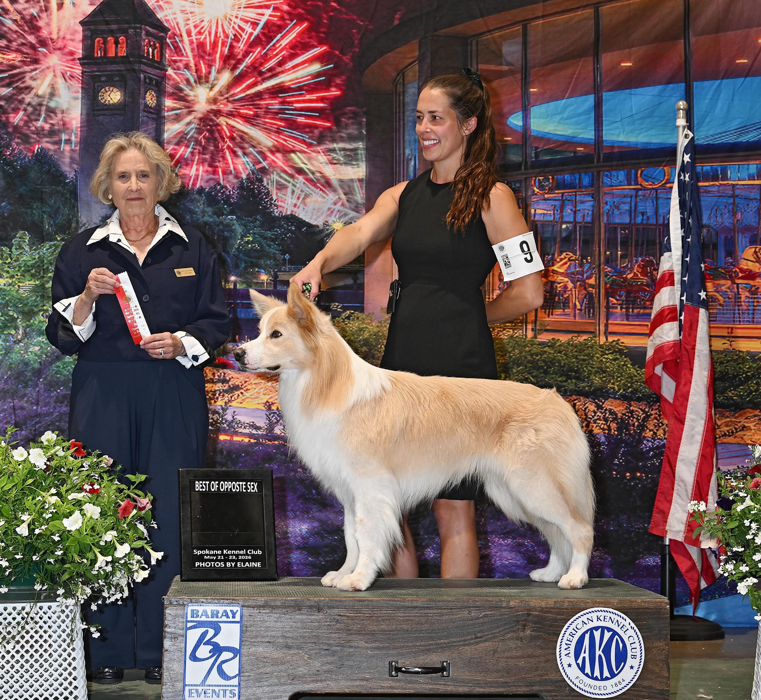 Shep&rsquo;s first major towards his grand!

Last weekend in Spokane, Shep went best opposite for a three point major and champion defeat towards his grand champion title. Thank you to his judge Debra Long Gschwender for seeing my sweet boy!

Don&rsq