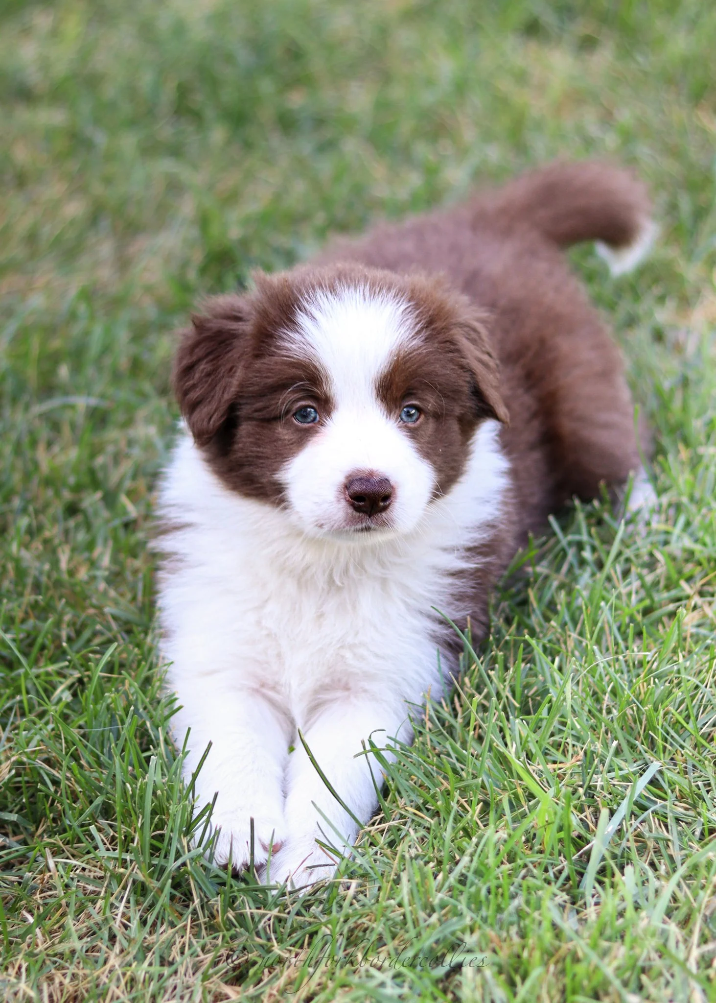 6 weeks old