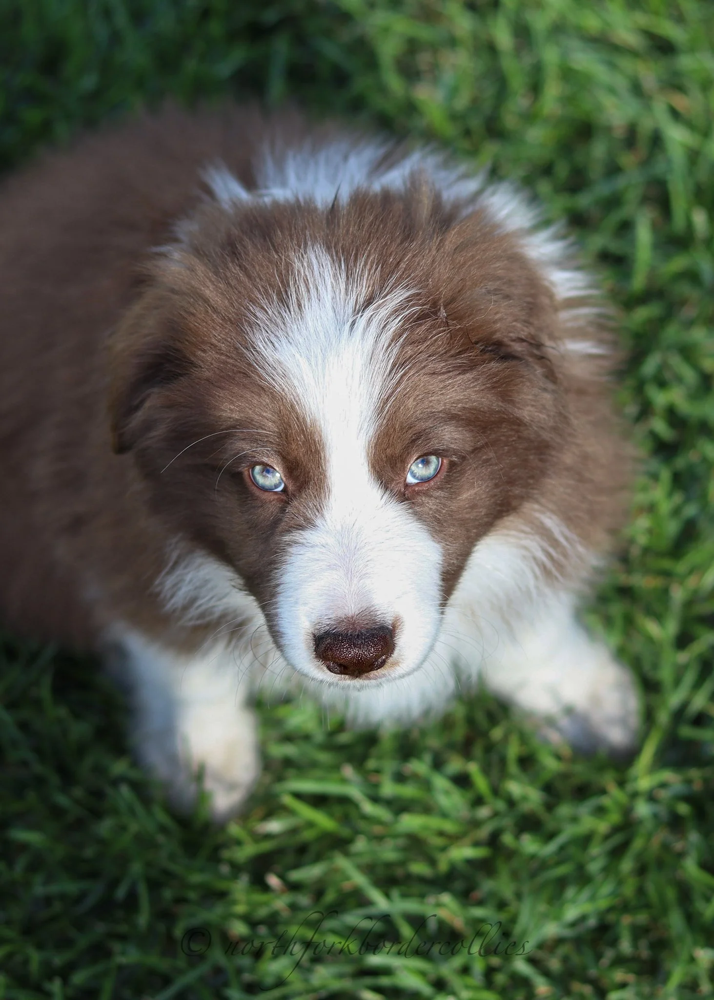 8 weeks old