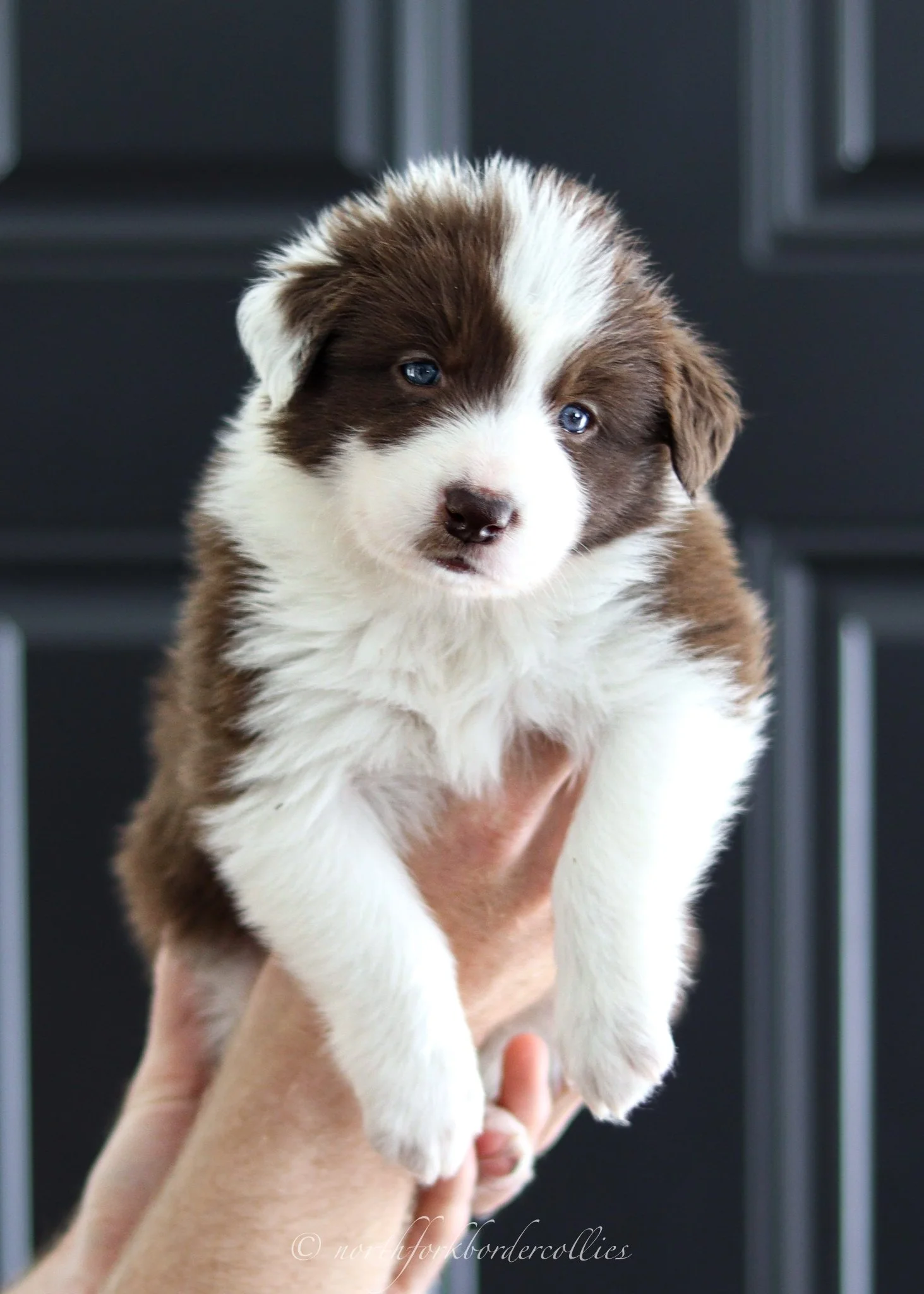 4 weeks old