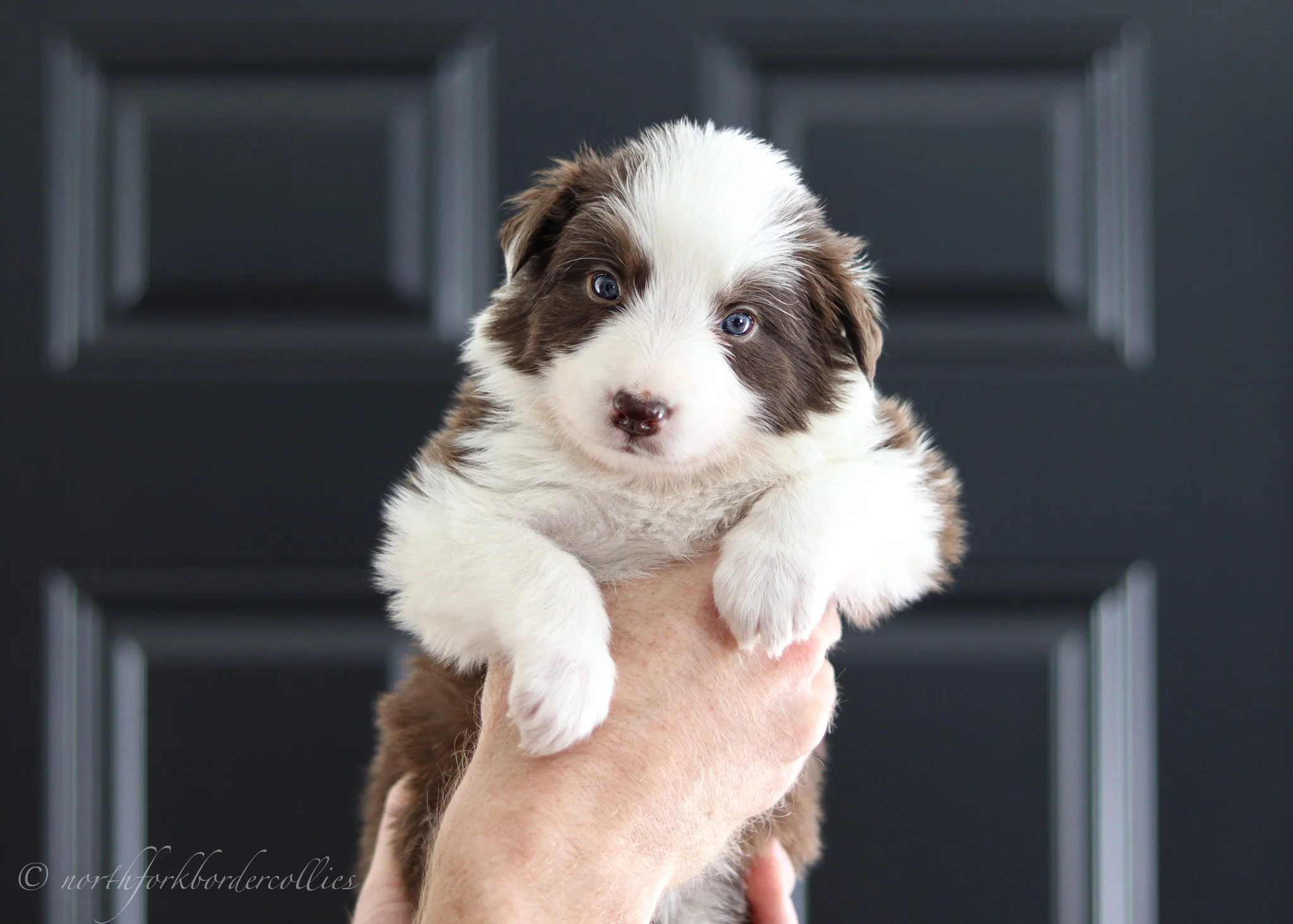 4 weeks old
