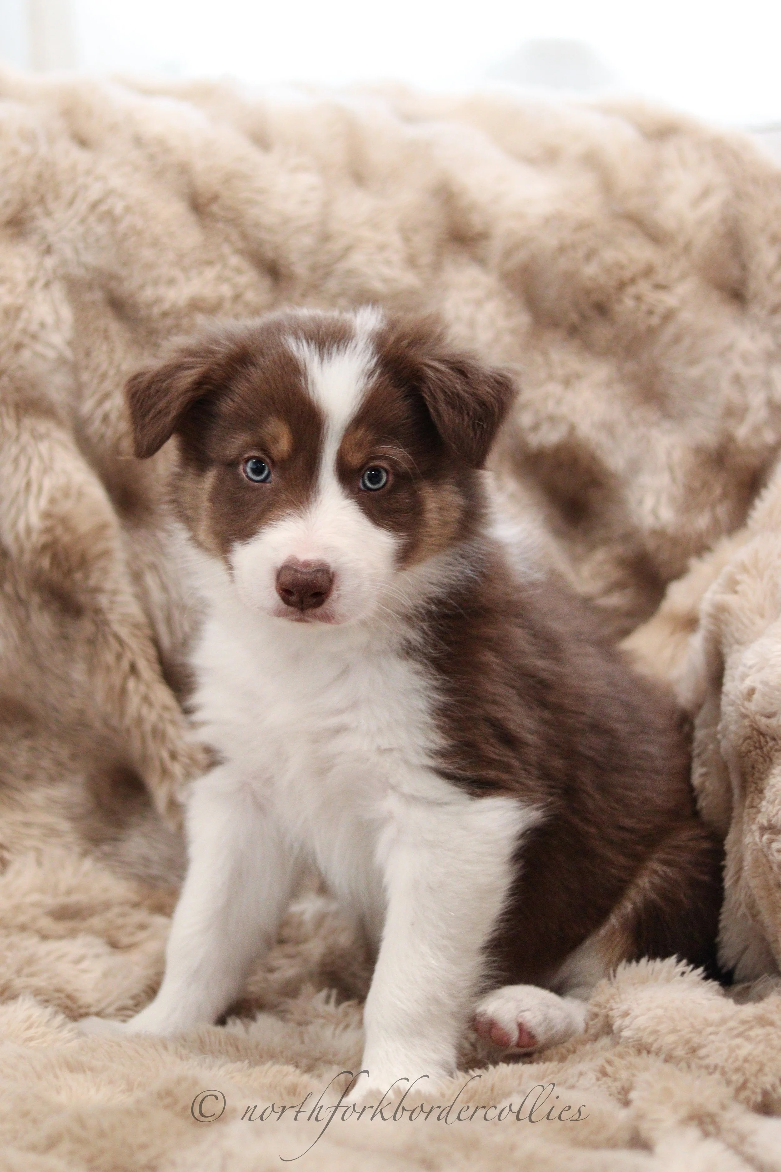 7 weeks old