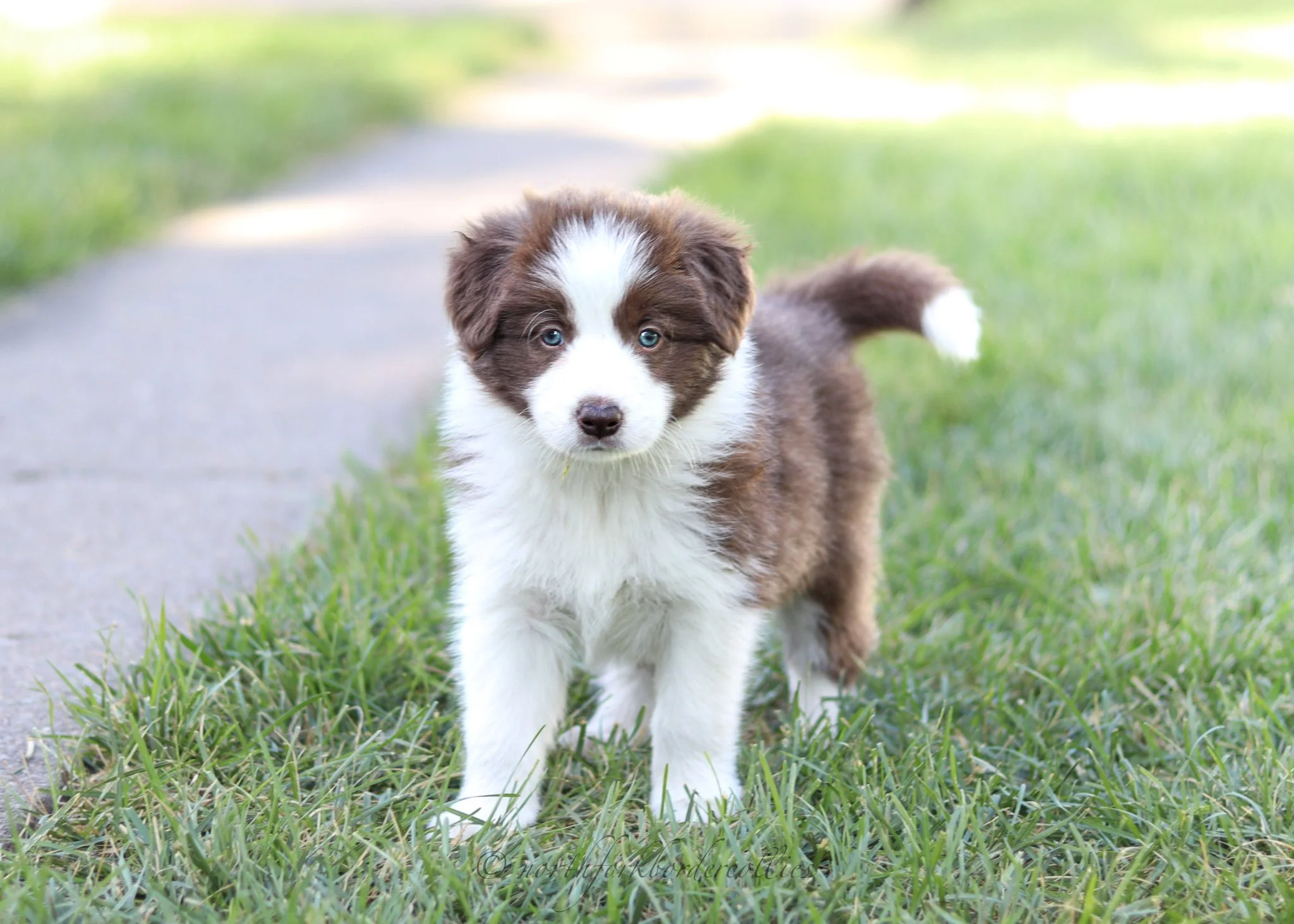 6 weeks old