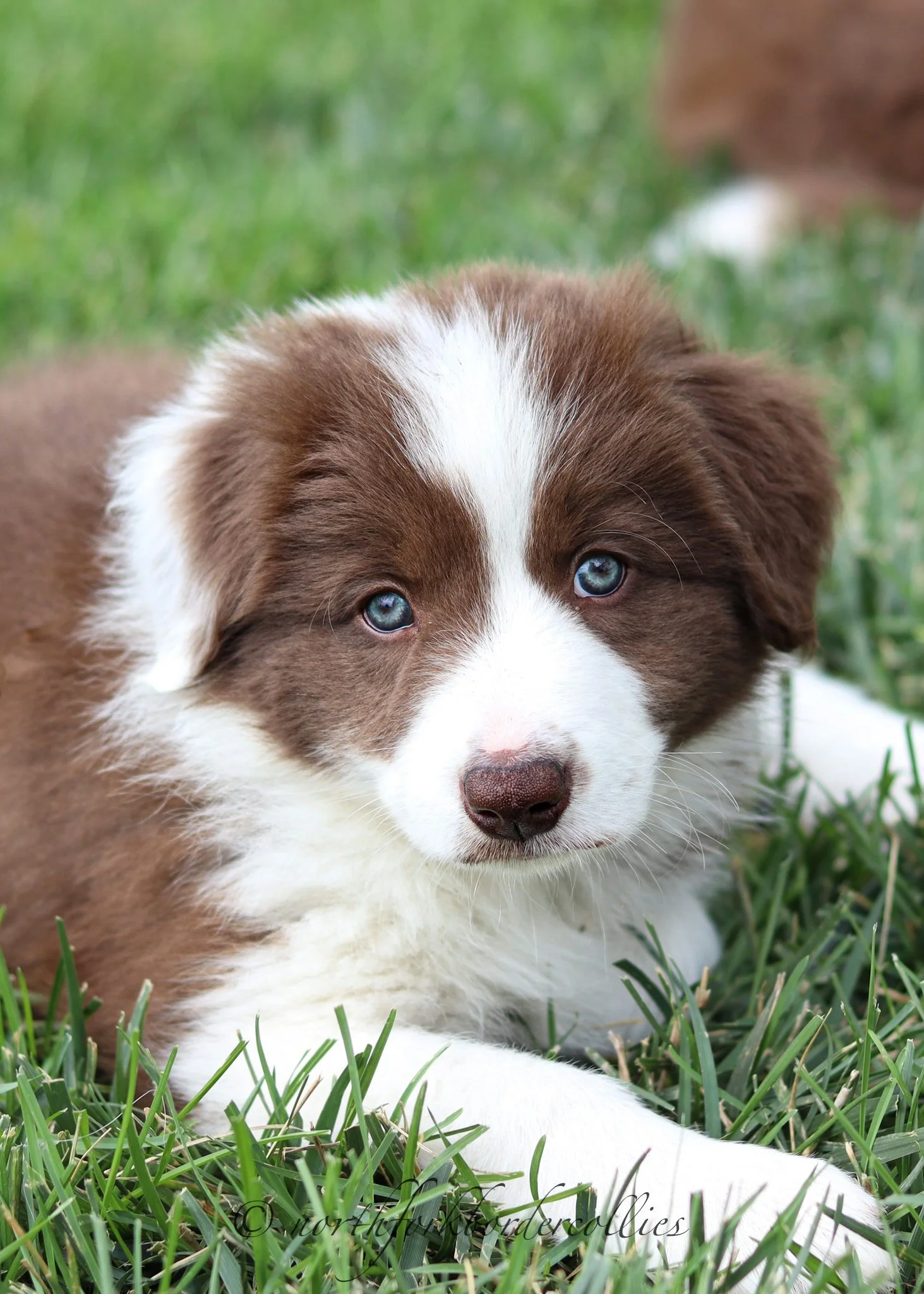 7 weeks old