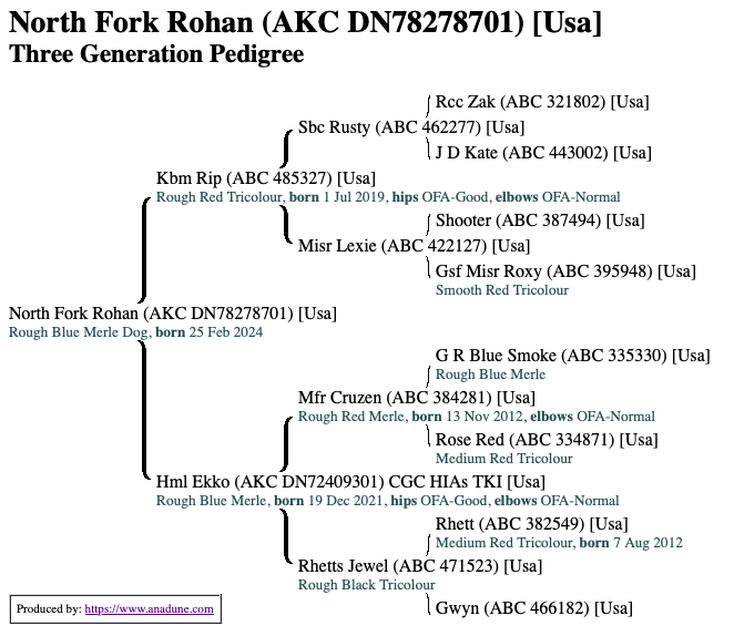 Screen Shot 2026-02-03 at 7.51.19 AM.png
