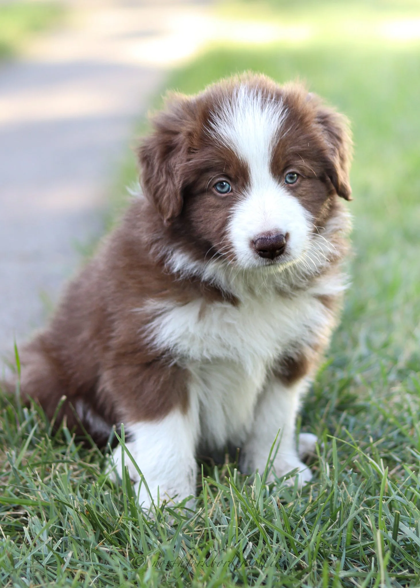 6 weeks old